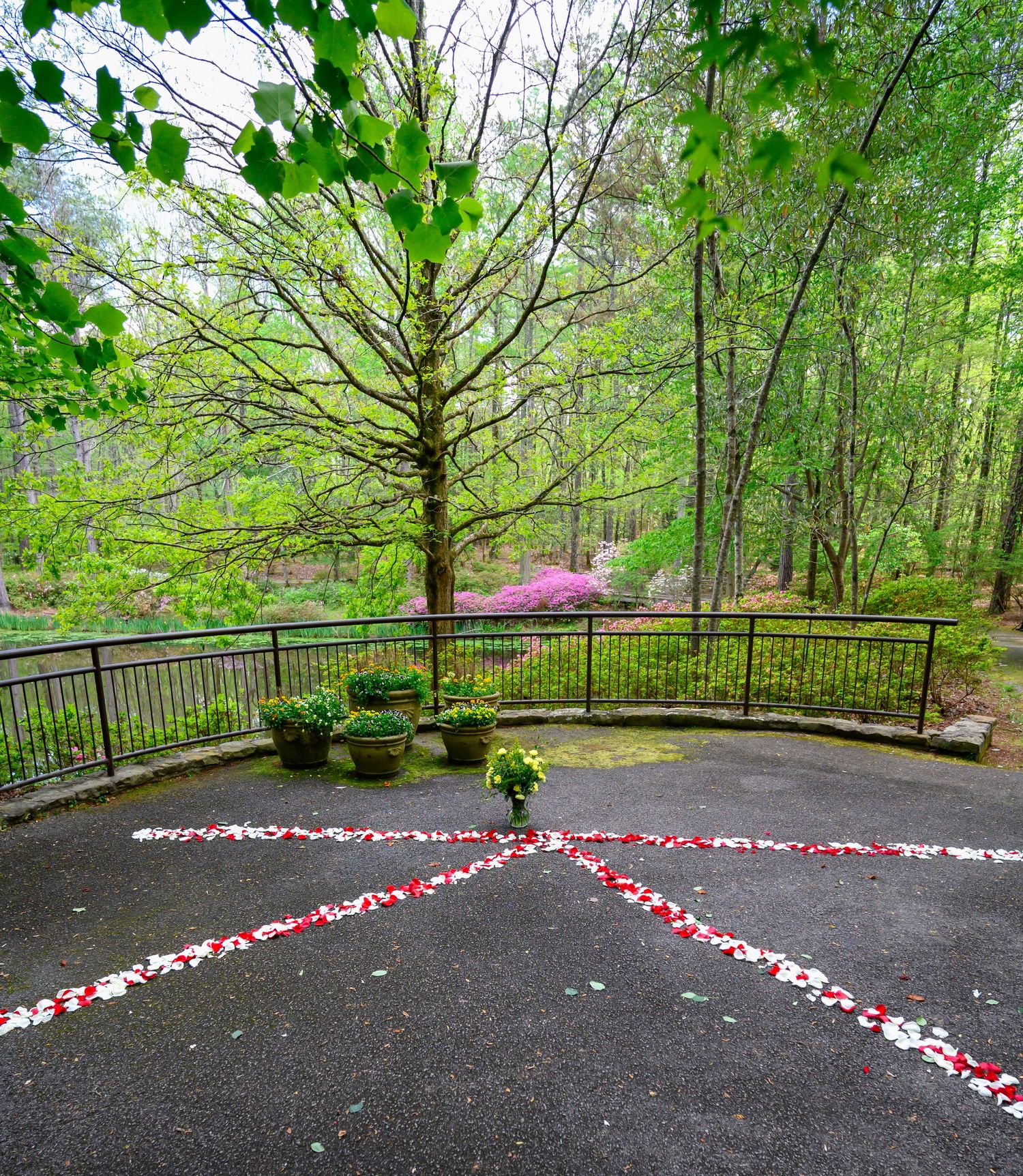 Rose petal path arranged in an X pattern on a woodland patio with lush green trees and pink flowering shrubs.