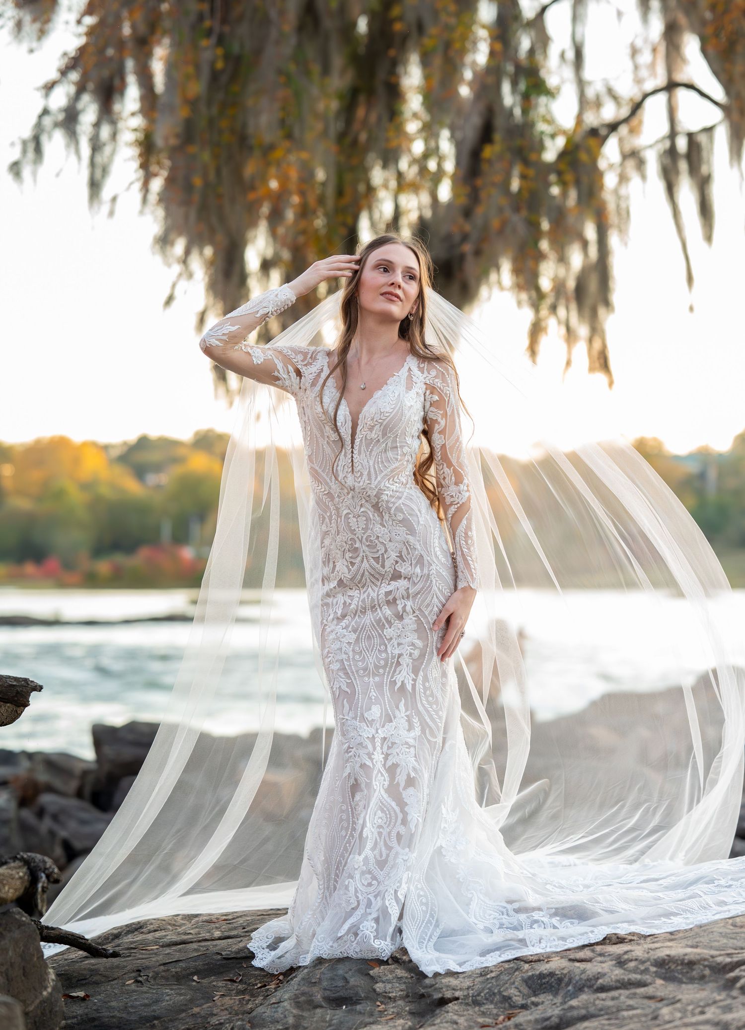 A dreamy bridal portrait under Spanish moss with flowing veil and fitted lace wedding gown.