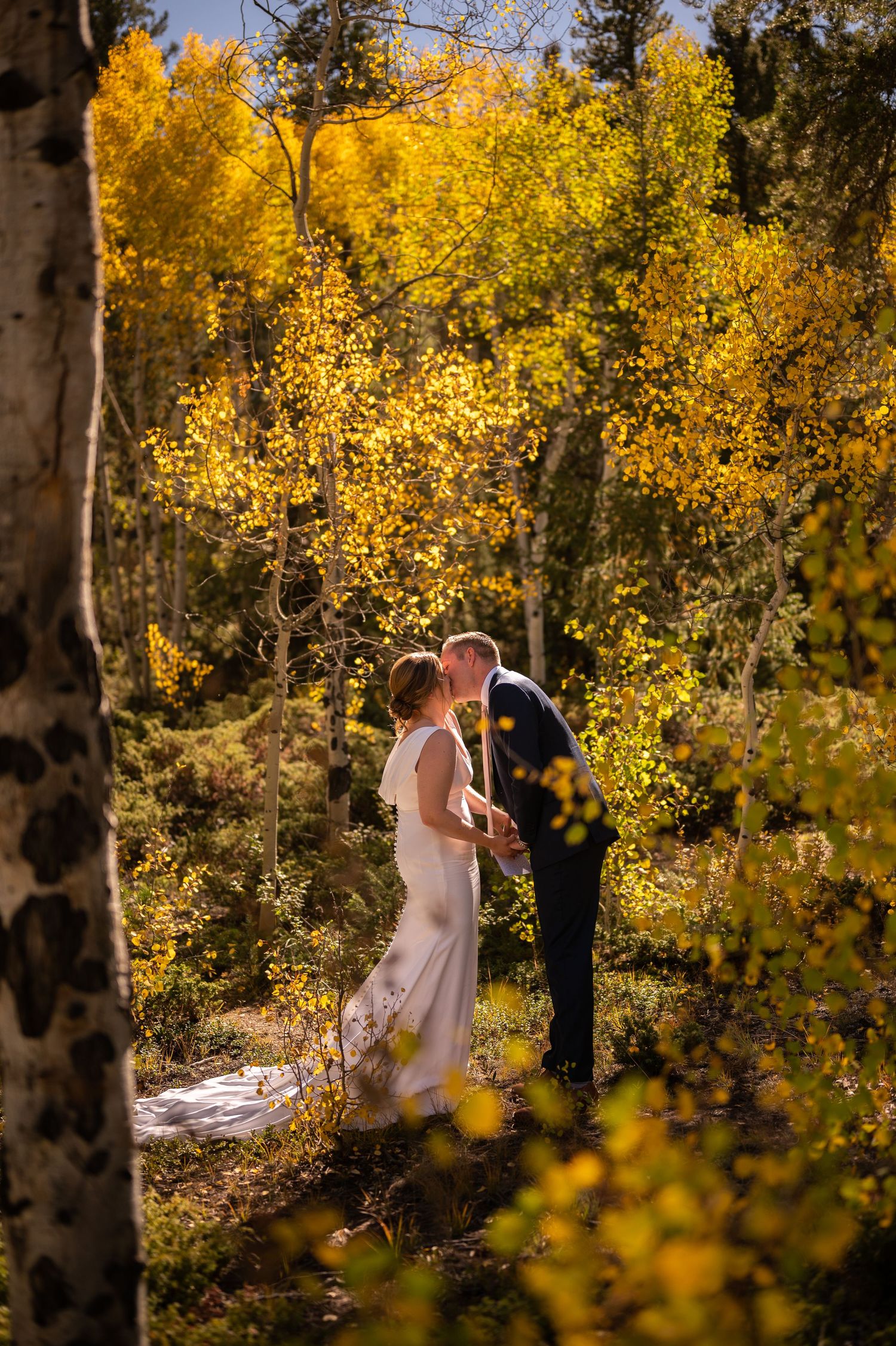Wedding couple walks through golden aspen grove with fall foliage creating magical autumn atmosphere.