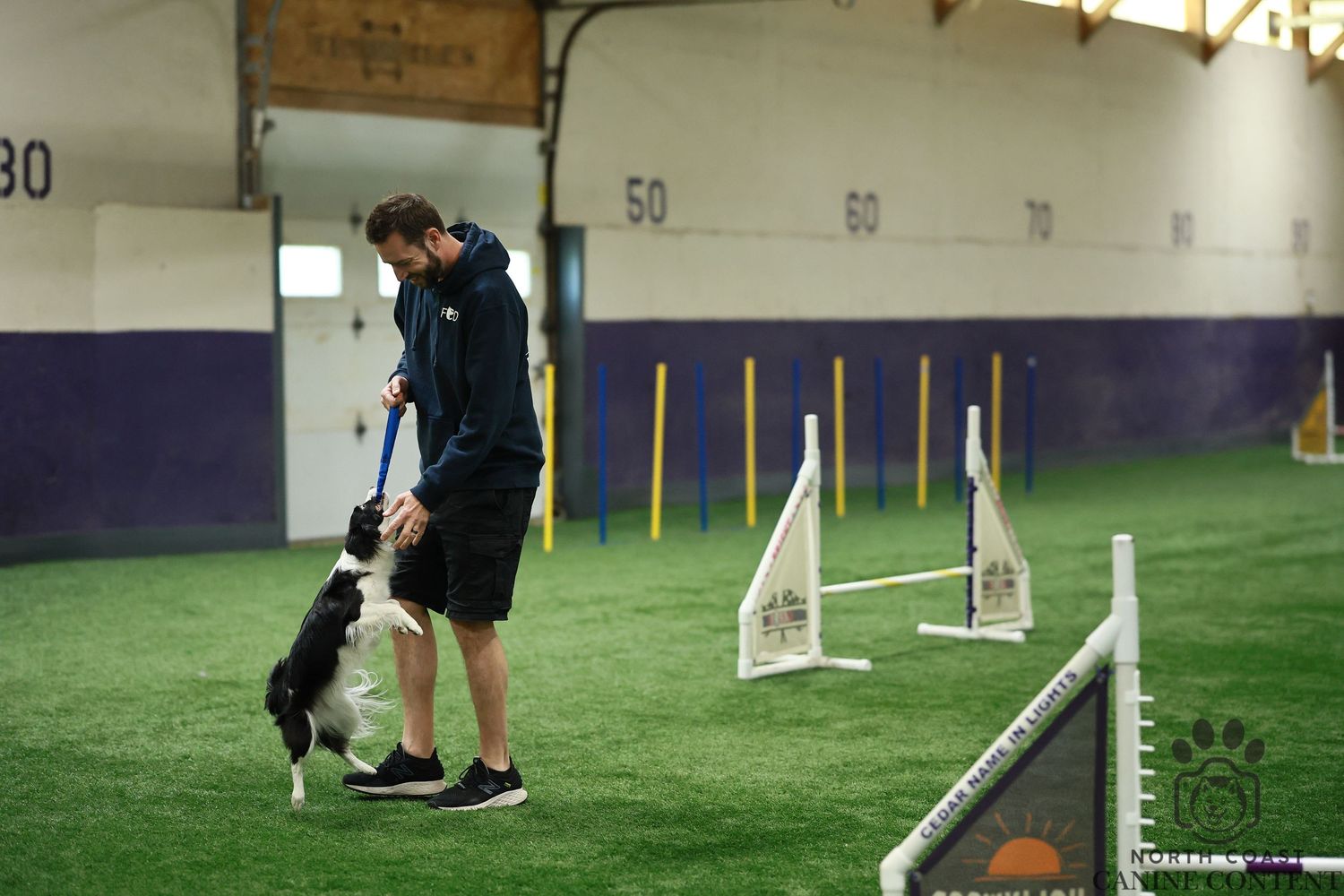 A border collie and papillon mix and trainer playing tug as a reward on an indoor agility course.

Dog sport photography