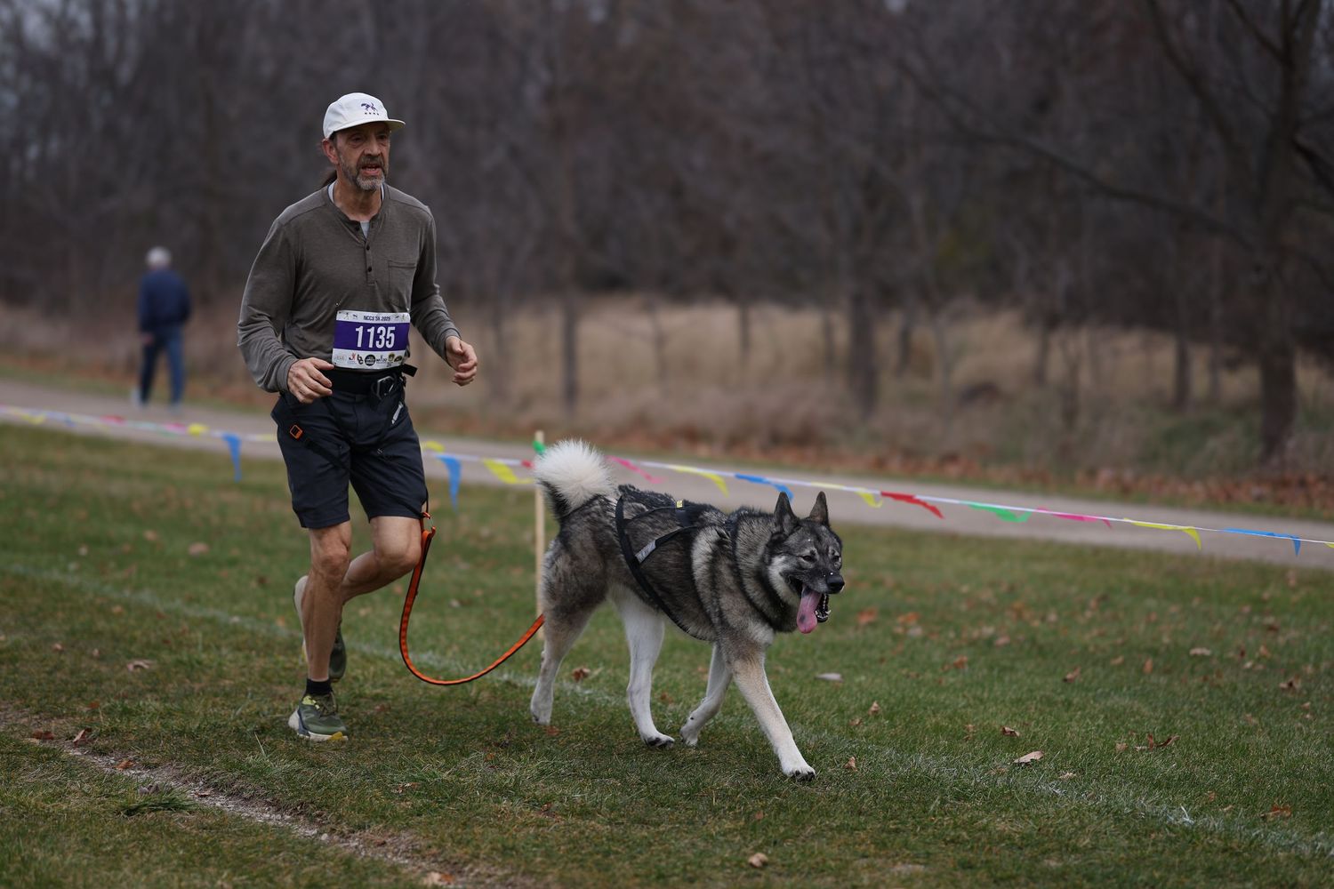 A runner and their Husky dog participate in a canicross event on a trail during an overcast day.