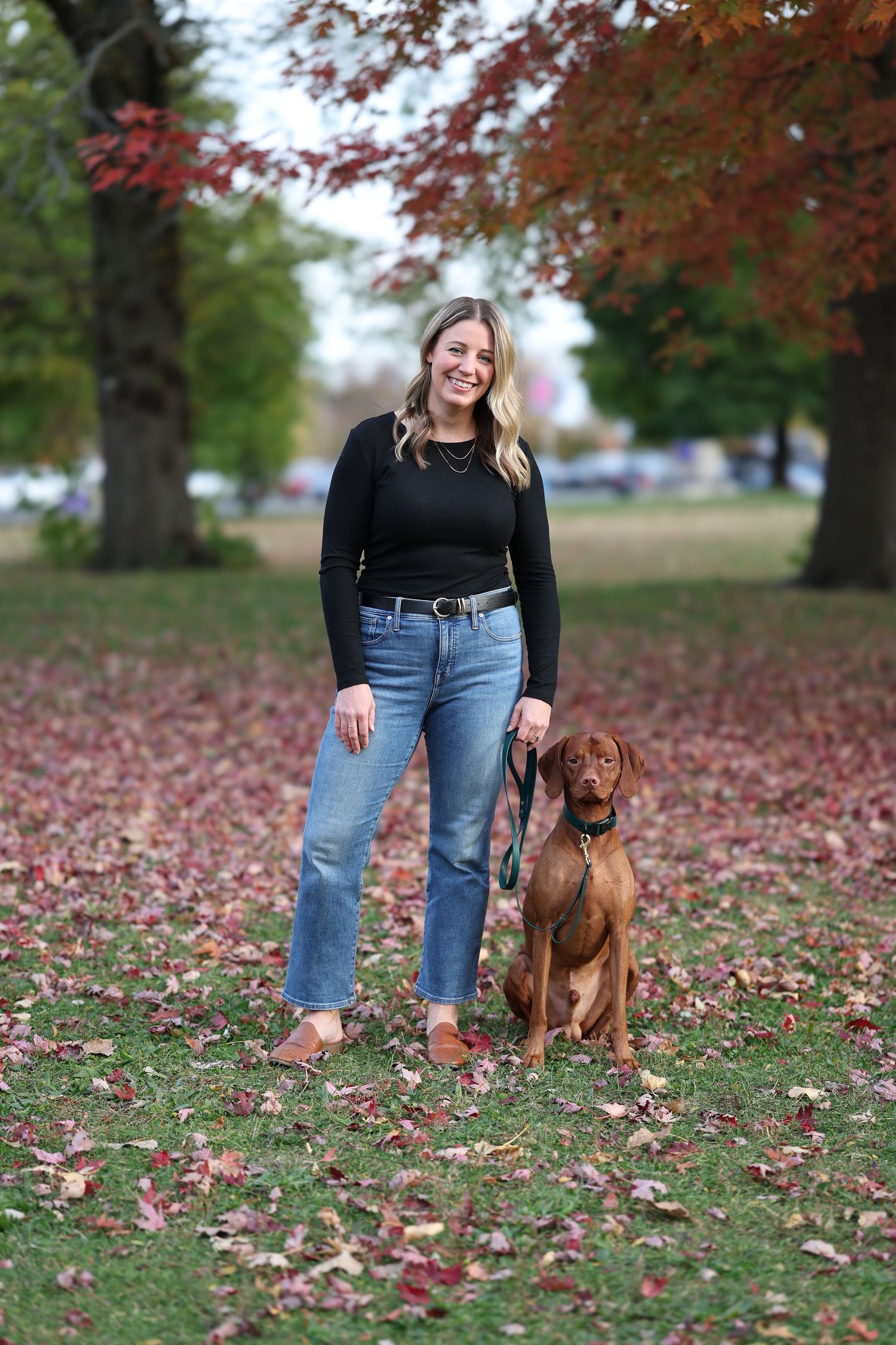 A Viszla poses with his owner on grass covered with autumn leaves.

Dog portrait photography