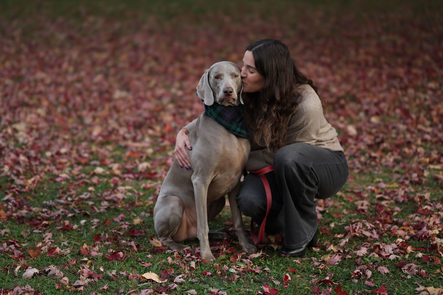People interact with their dogs while sitting among scattered fall leaves.