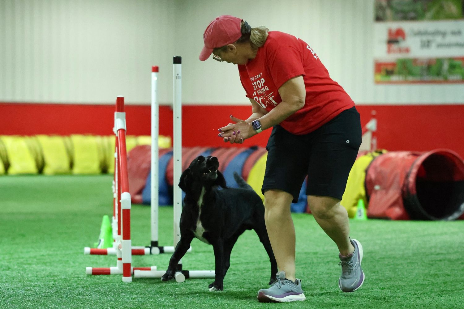 A person in a red shirt trains a black dog through agility poles on an indoor turf field.