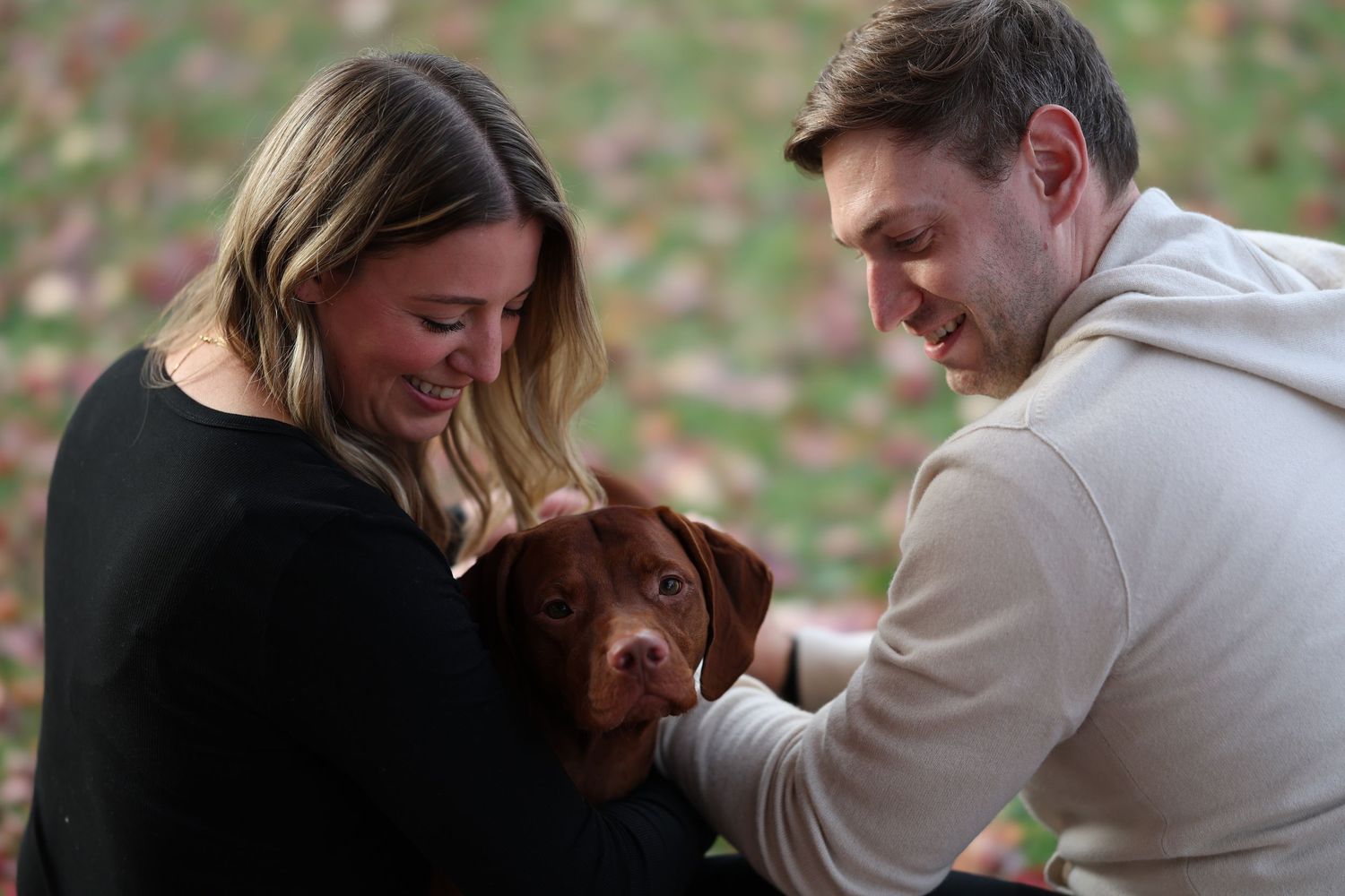 People share tender moments with their Viszla while sitting on autumn leaves during golden hour.

Dog portrait photography