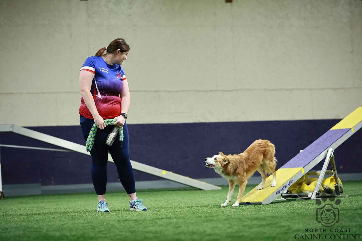A sable border collie and trainer practicing a teeter contact on an indoor agility course.

Dog sport photography
