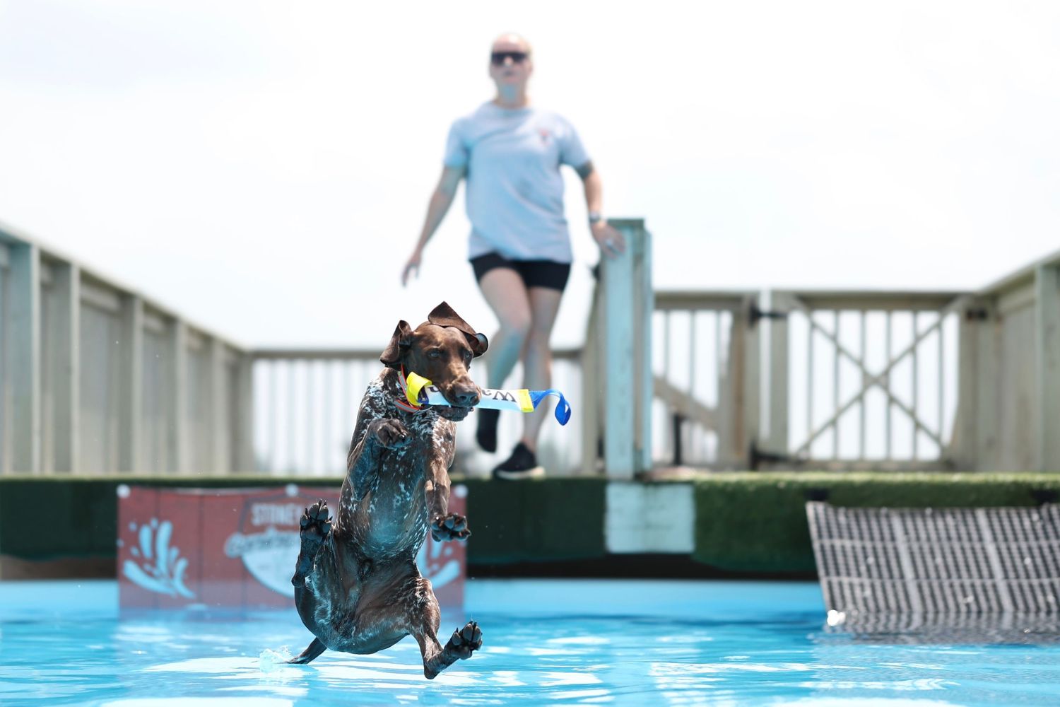 A person performs an impressive backflip into a swimming pool while holding a camera on a sunny day.