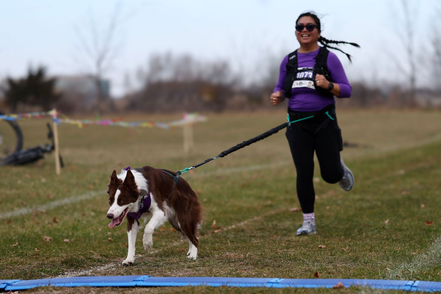Red border collie and handler competing in an outdoor canicross race event in Chicago.

Musher harnesses, Ruffwear
