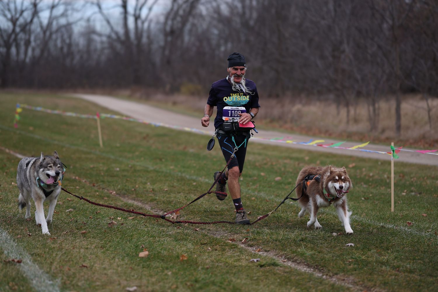 Two huskies running with their owner on a trail through a winter landscape.