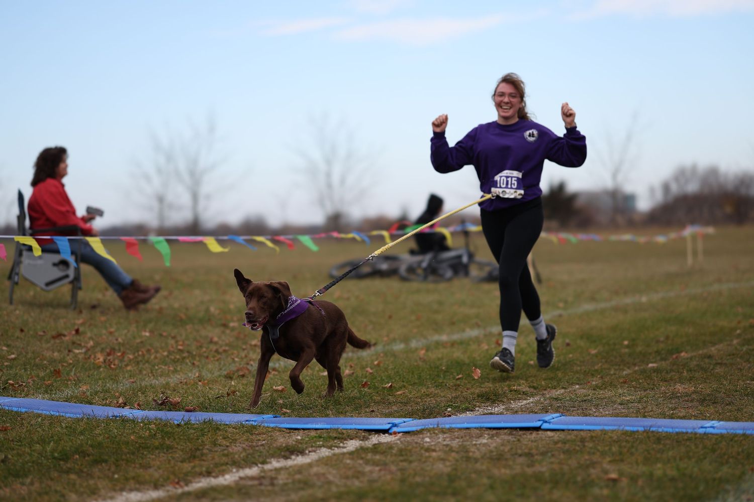 A brown dog runs alongside its owner on a grassy field while playing with a long training lead.