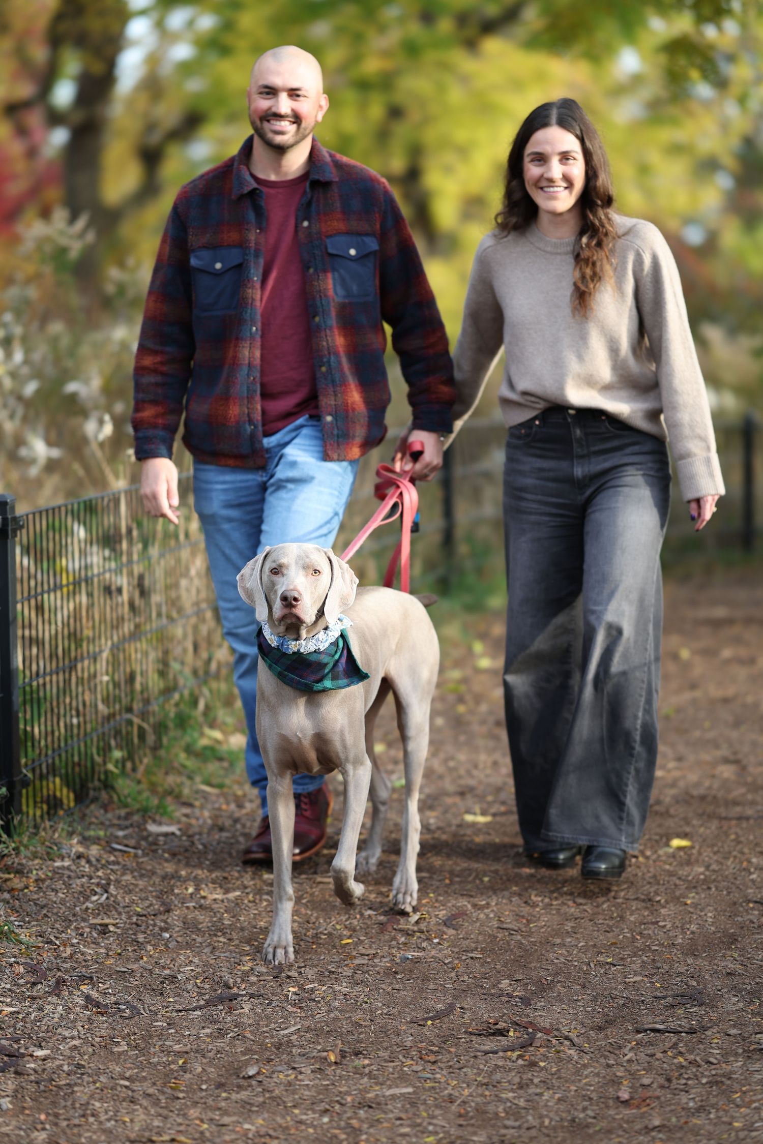 A couple and their Weimaraner walking together on autumn trail.

Dog portrait photography