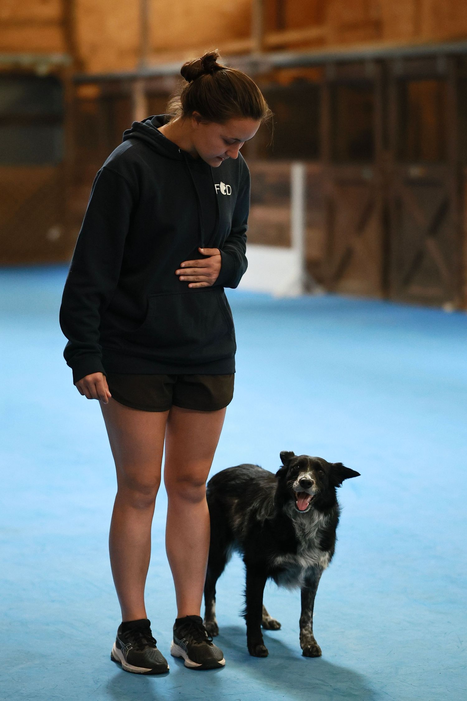 A person in a black hoodie and shorts stands with their black and white border collie on a blue indoor floor.