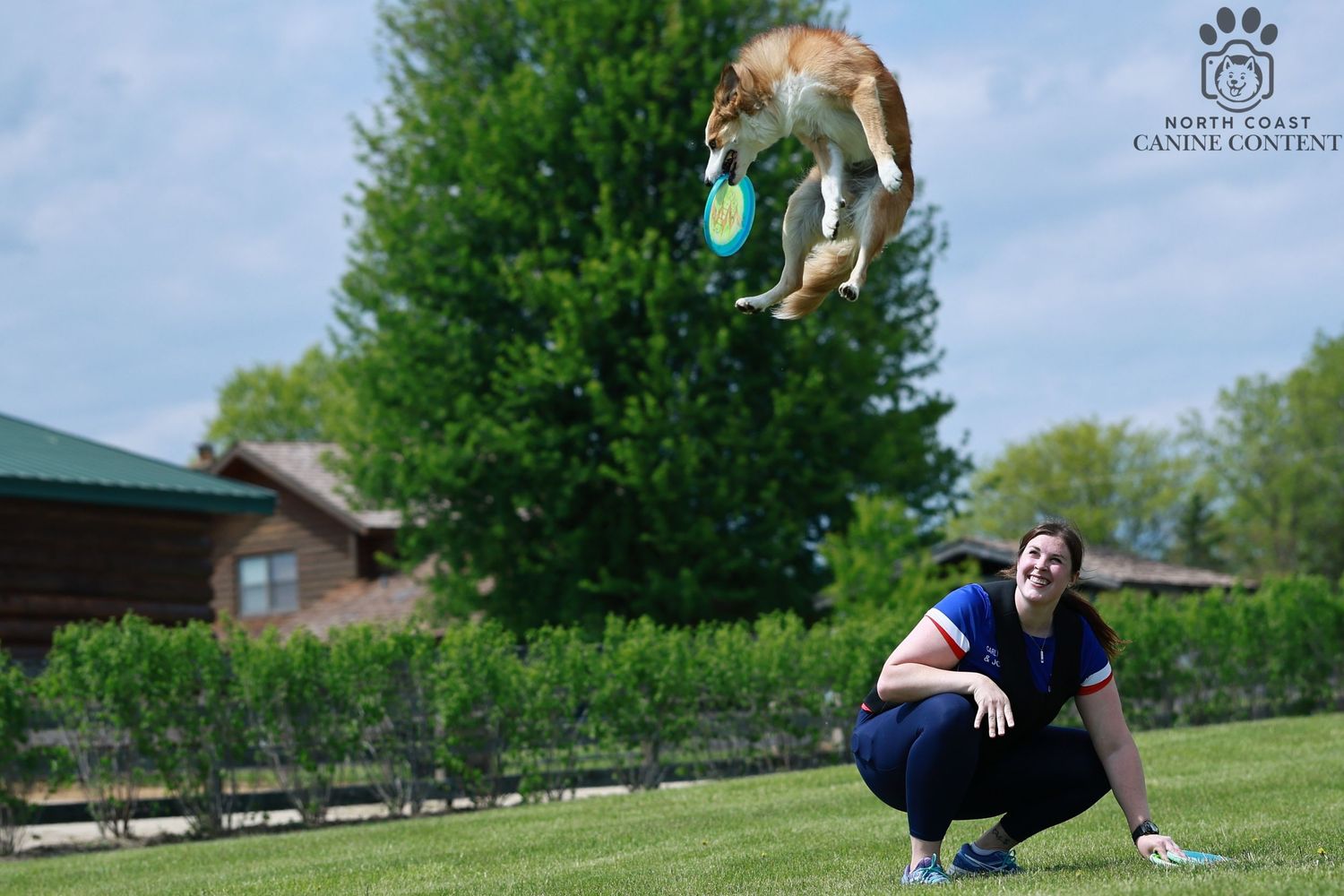 Handler directing a sable border collie to leap off her back and catch a frisbee during a disc dog competition. 

Dog sport photography