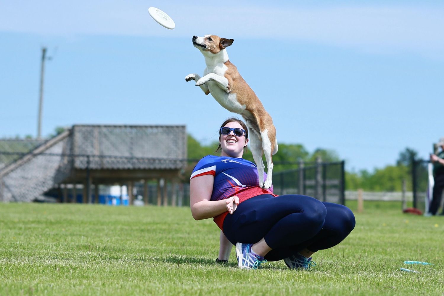 Athletes playing ultimate frisbee on a sunny day in a grassy field during a competitive match.