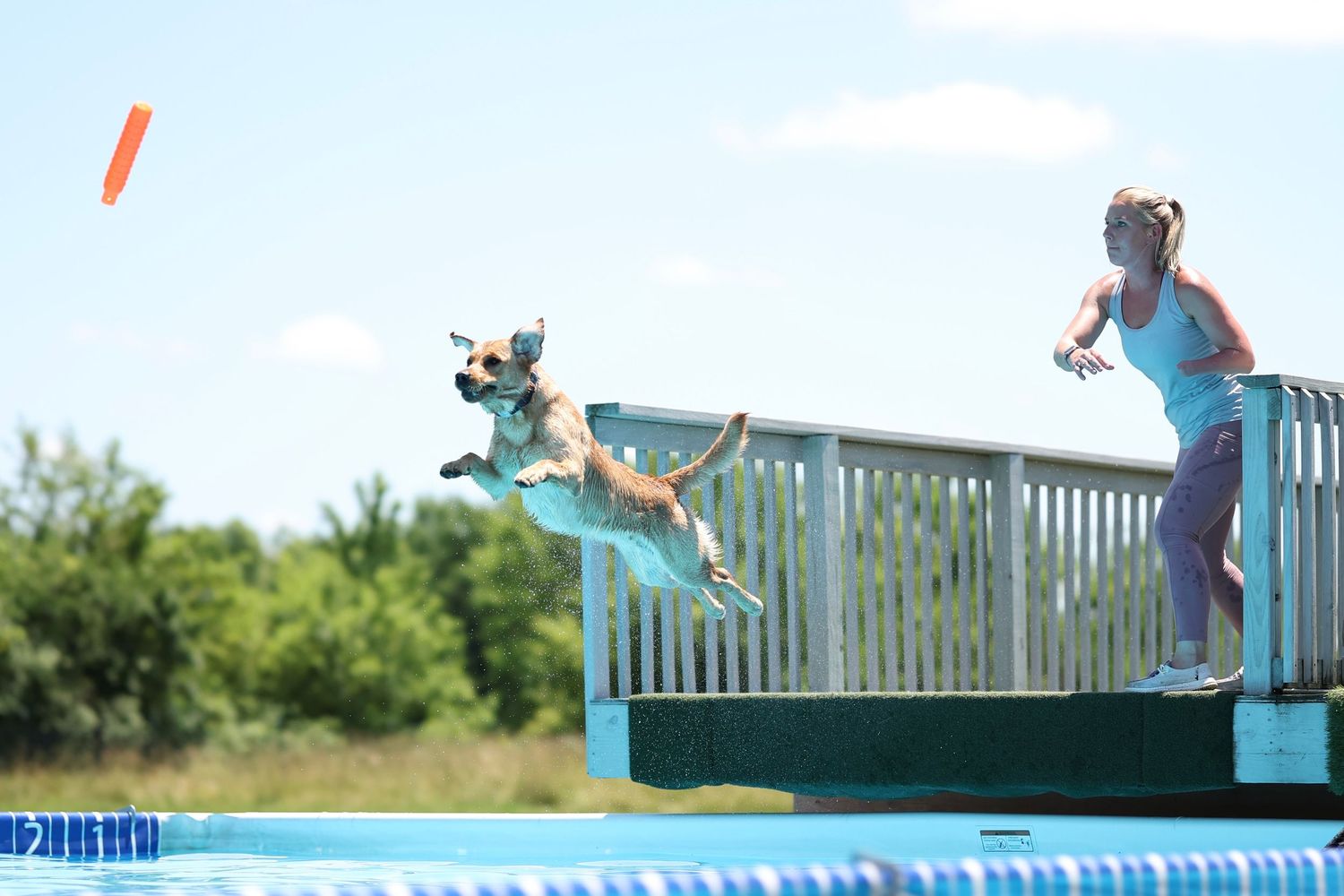 A sequence of skateboarding tricks performed on a ramp railing shows progression from start to landing.