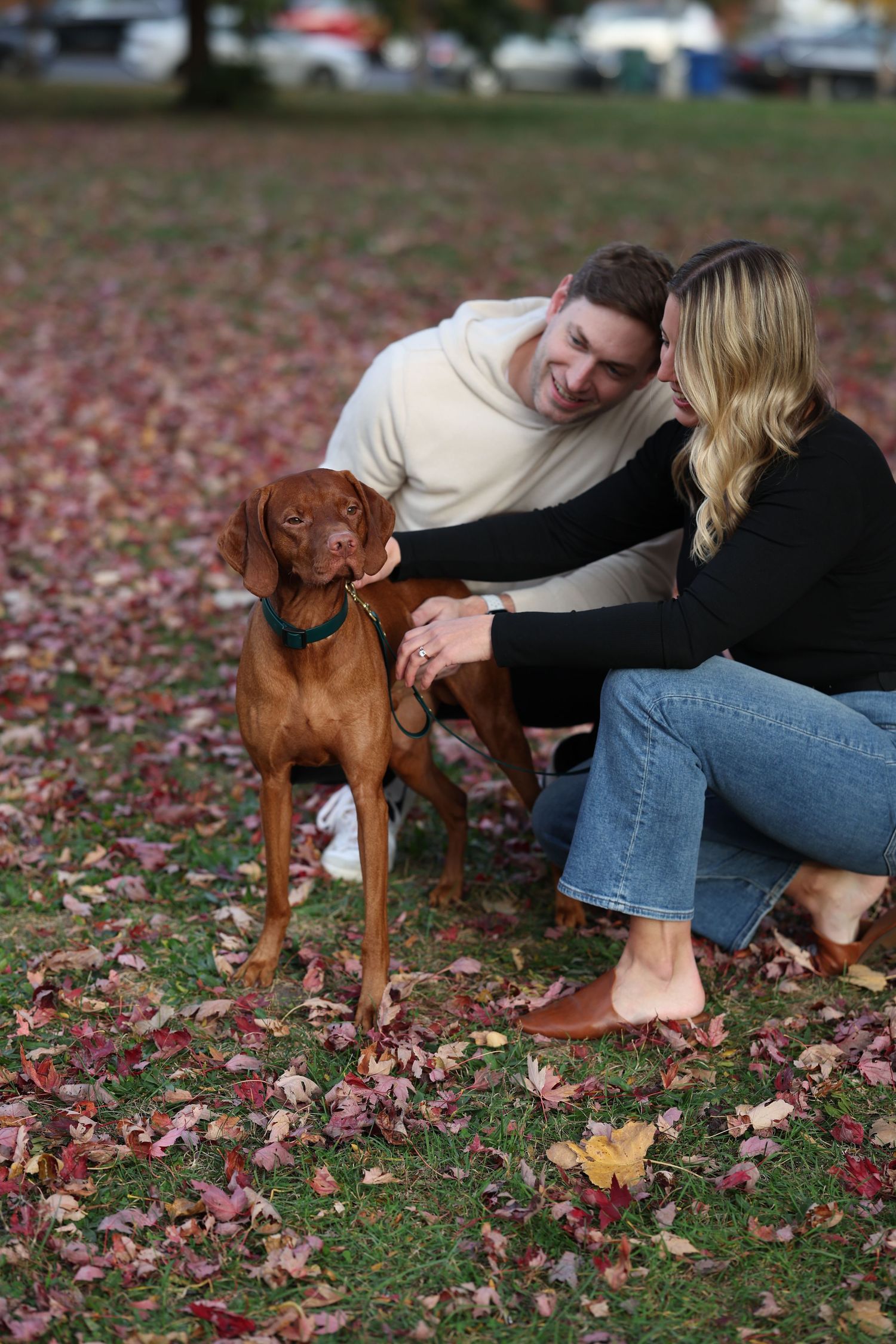 A couple poses with their Vizsla on grass covered with colorful fall leaves.

Dog portrait photography