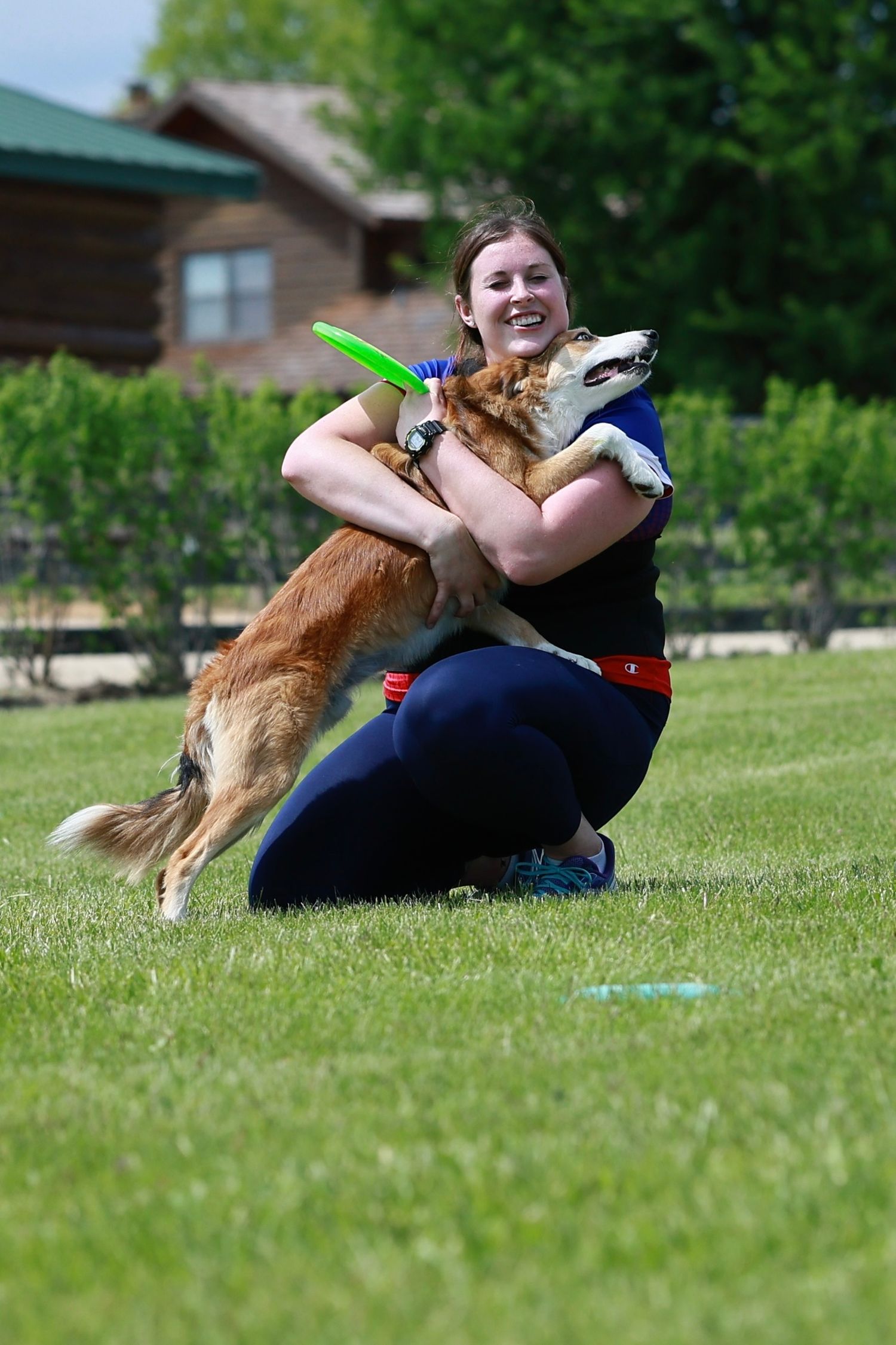 A playful dog jumps up to catch a green frisbee on a grassy lawn while playing fetch outdoors.