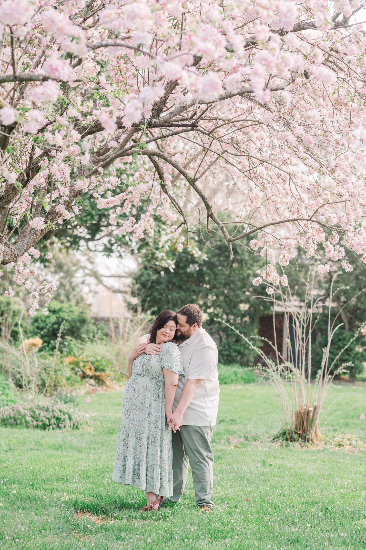 Maternity session embraced under blooming cherry blossom trees in a spring garden setting.