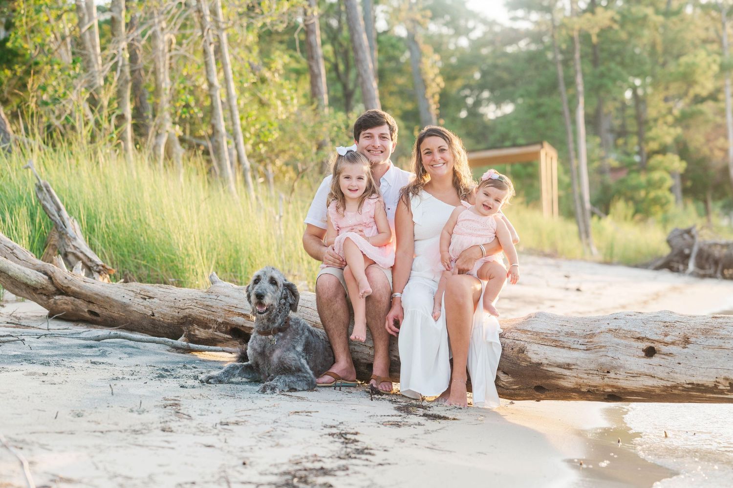 Family sitting together on driftwood with puppy at the beach during golden hour photo session.
