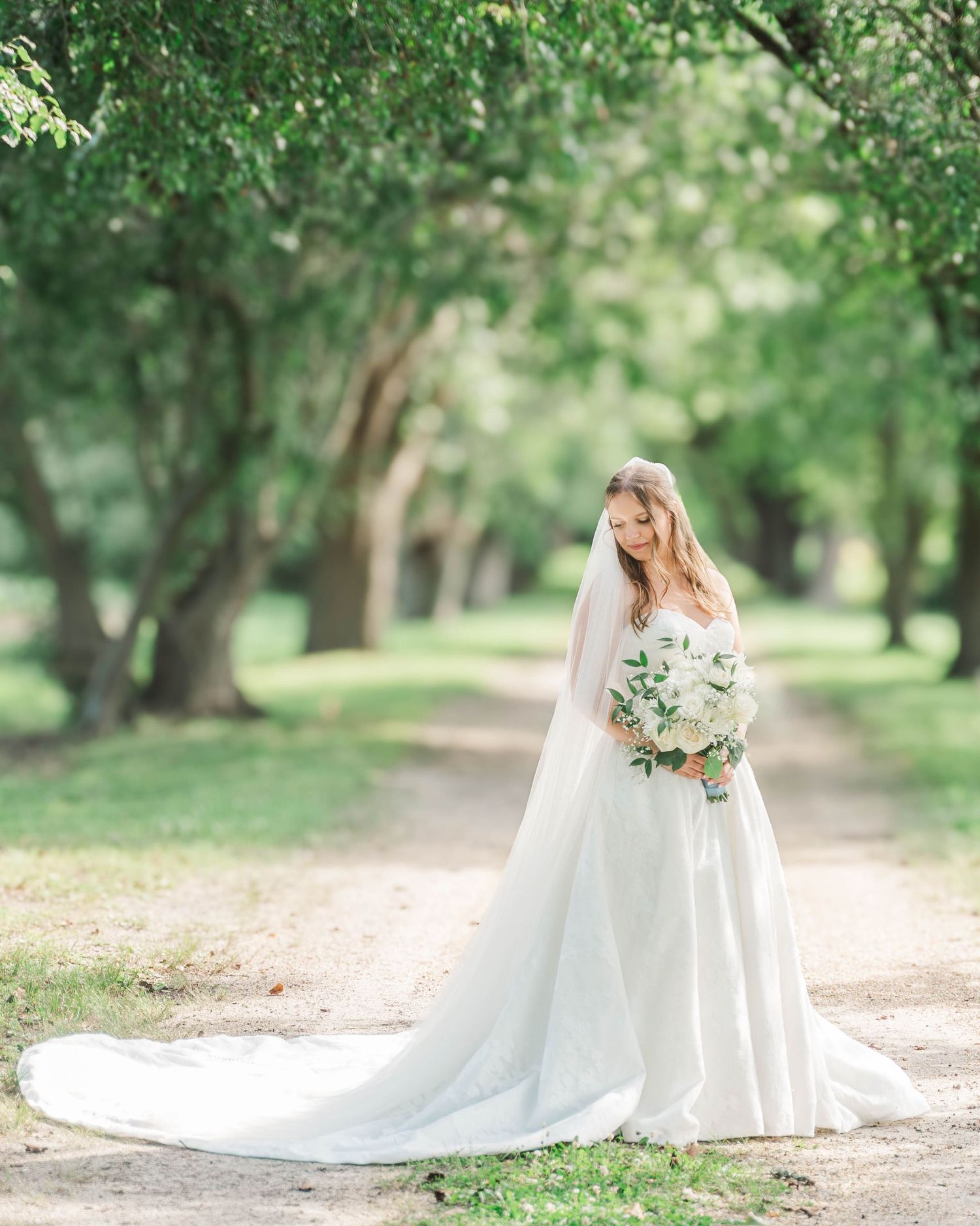 Flowing wedding dress and veil create dramatic silhouette in garden setting.