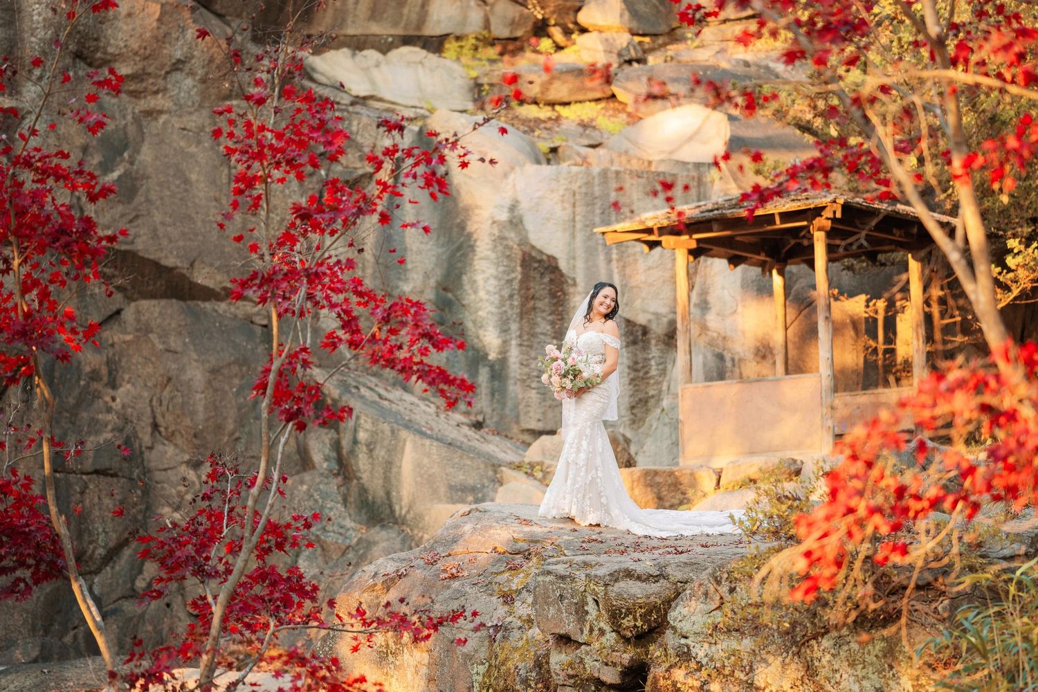 A scenic stone pathway with vibrant red autumn foliage and golden sunlight filtering through the trees. Maymont Park, VA