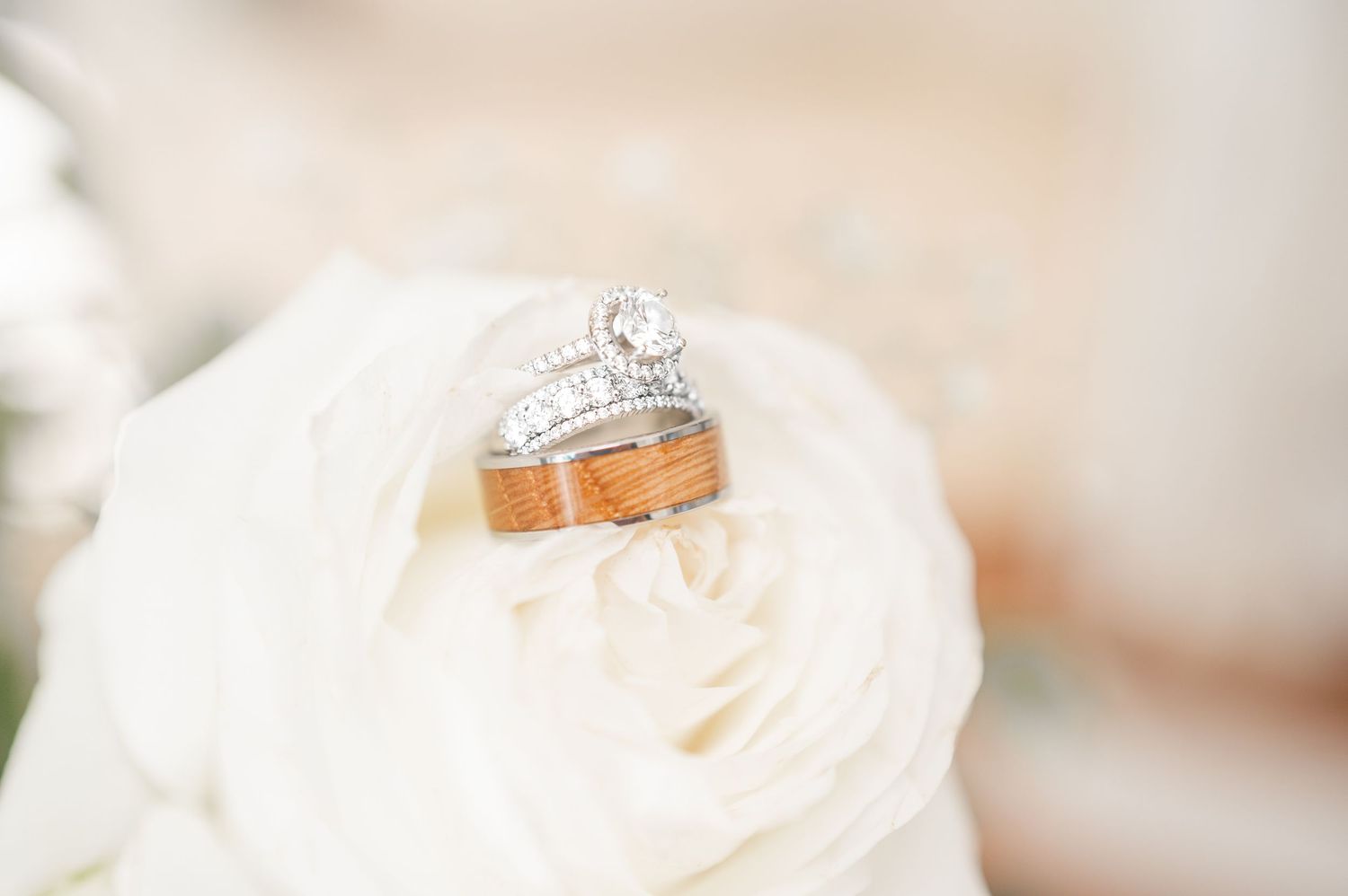 Close-up detail of a sparkling diamond engagement ring resting on soft pink petals.