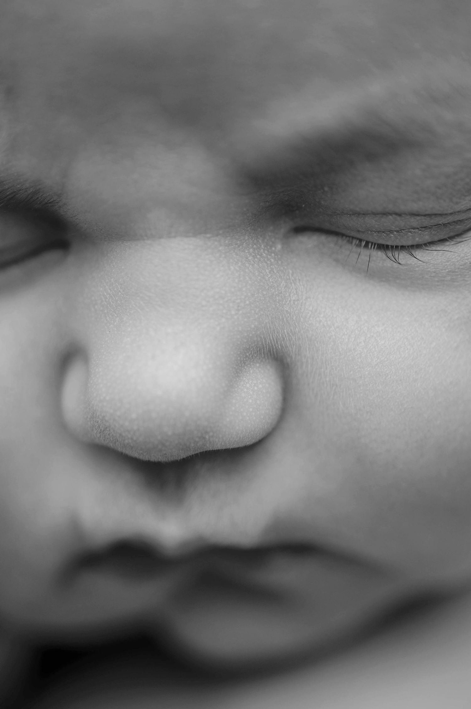 A series of black and white close-up photographs showing different angles of a human nose in soft focus.