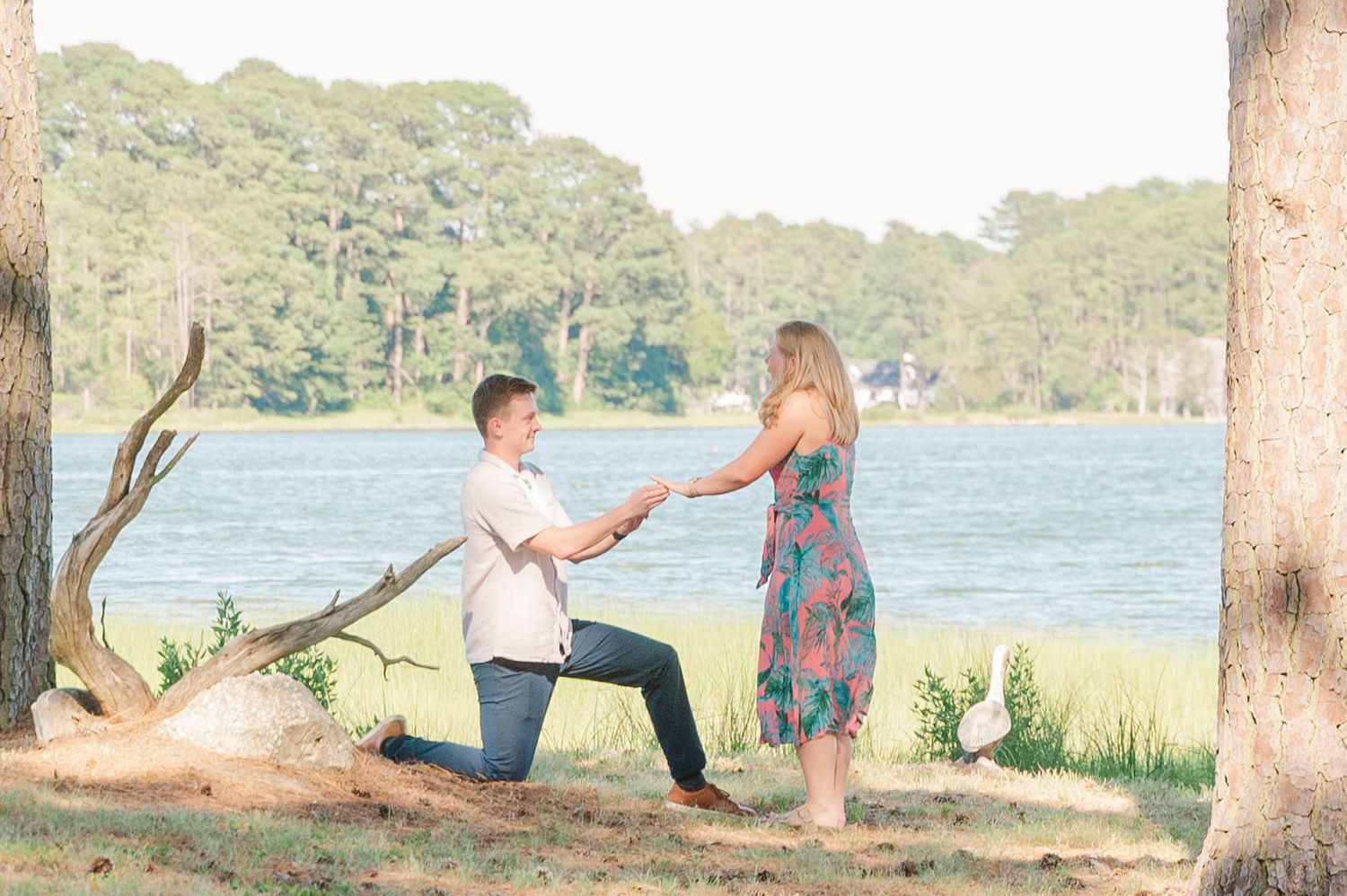A lakeside engagement session with pine trees and water views creating a serene backdrop.