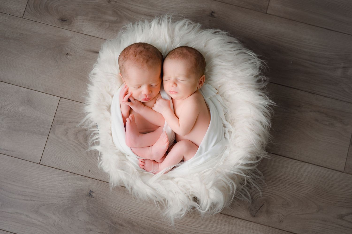 twin newborn session