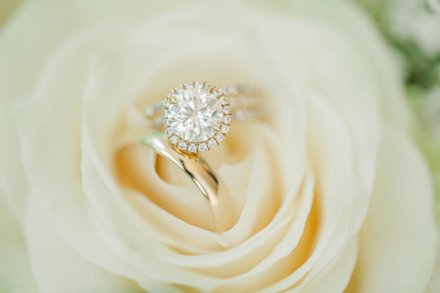 Close-up of white rose petals with diamond ring detail.