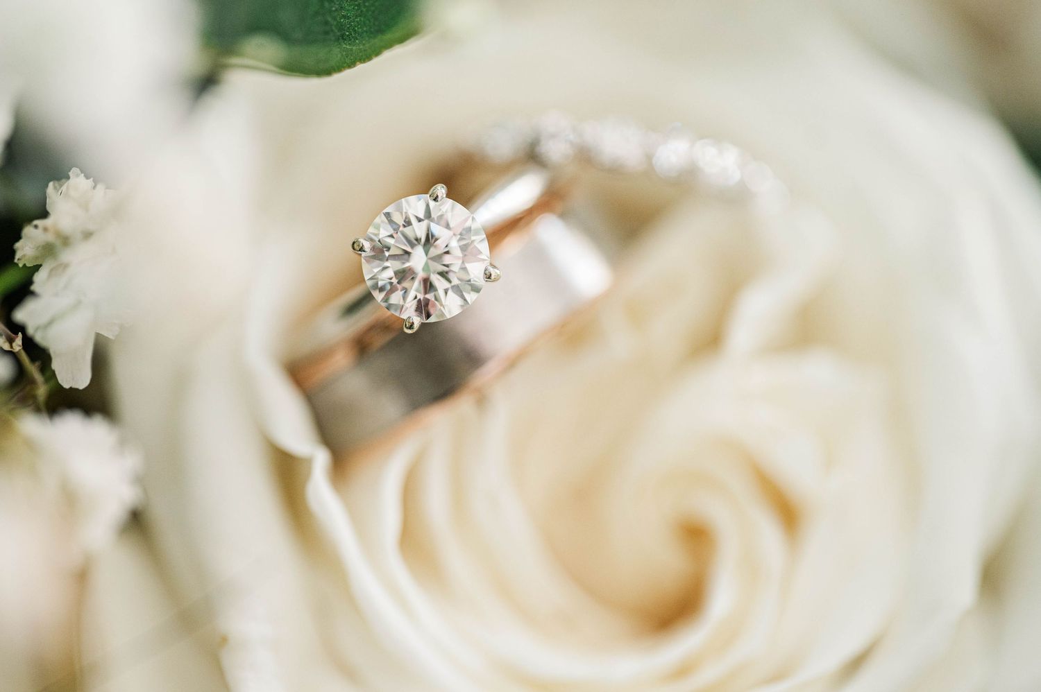Diamond engagement ring macro shot nestled in white rose petals.