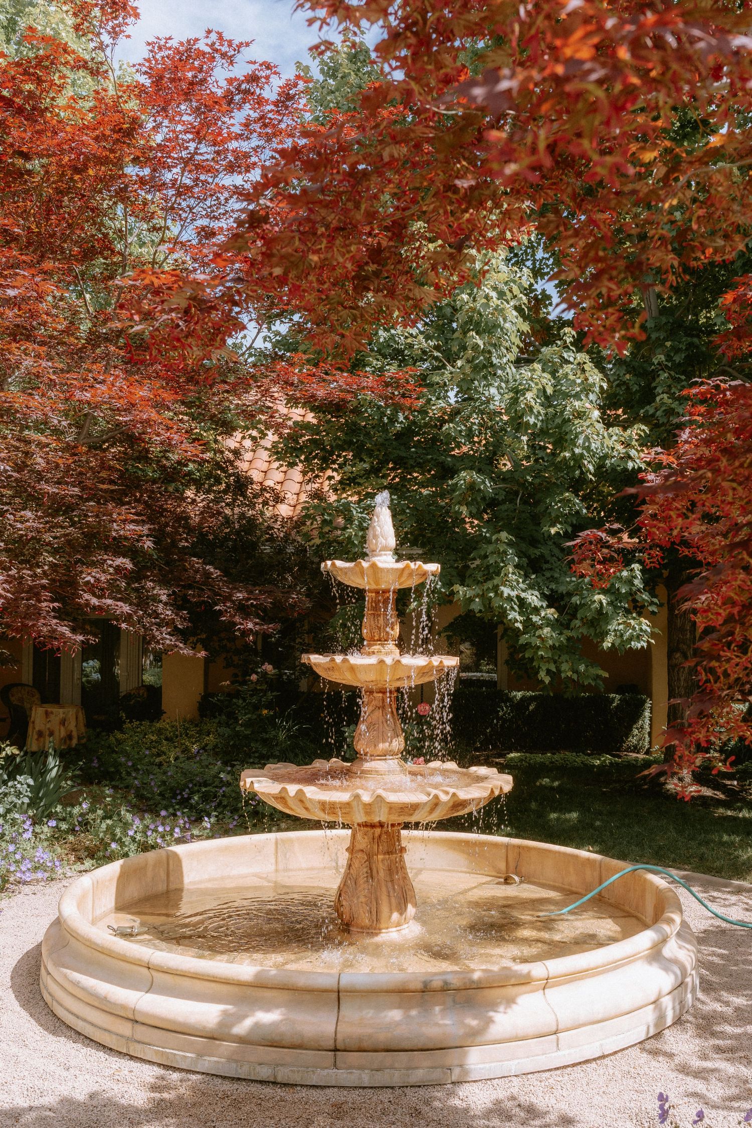 An ornate stone fountain surrounded by vibrant red autumn maple trees in a peaceful garden setting.