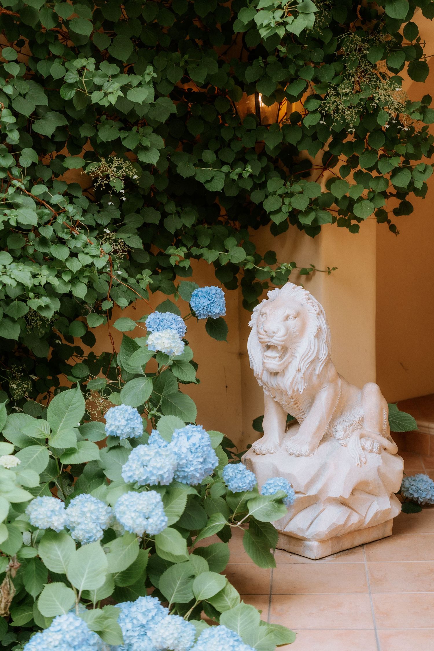 White stone lion statue beside blooming blue hydrangeas in a garden setting.