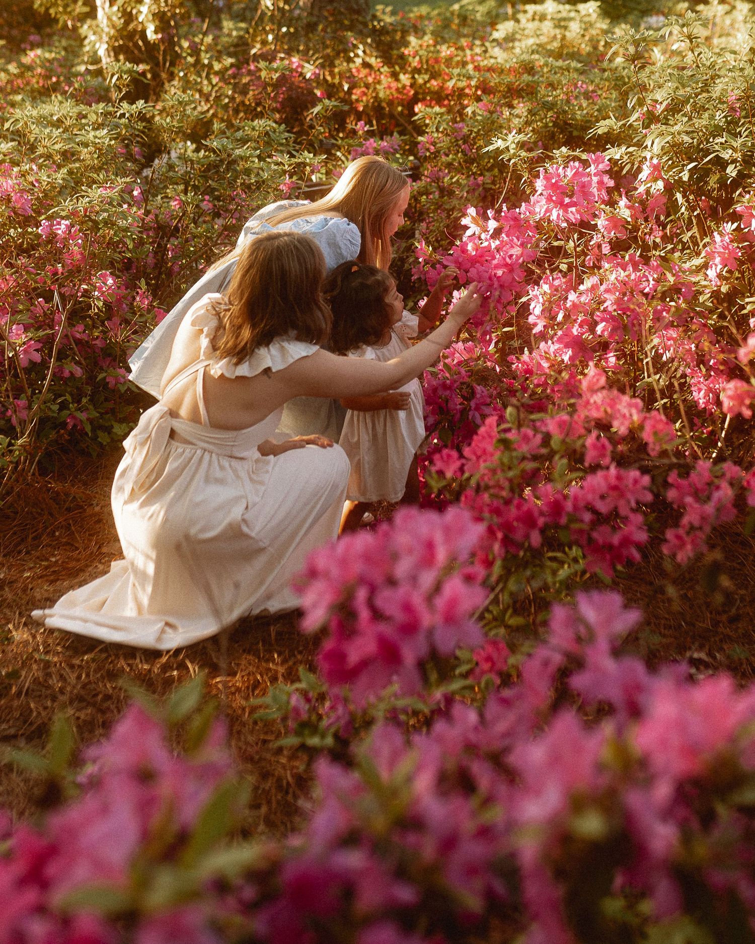 A person in a white dress twirls among vibrant pink azalea flowers in a dreamy garden setting.