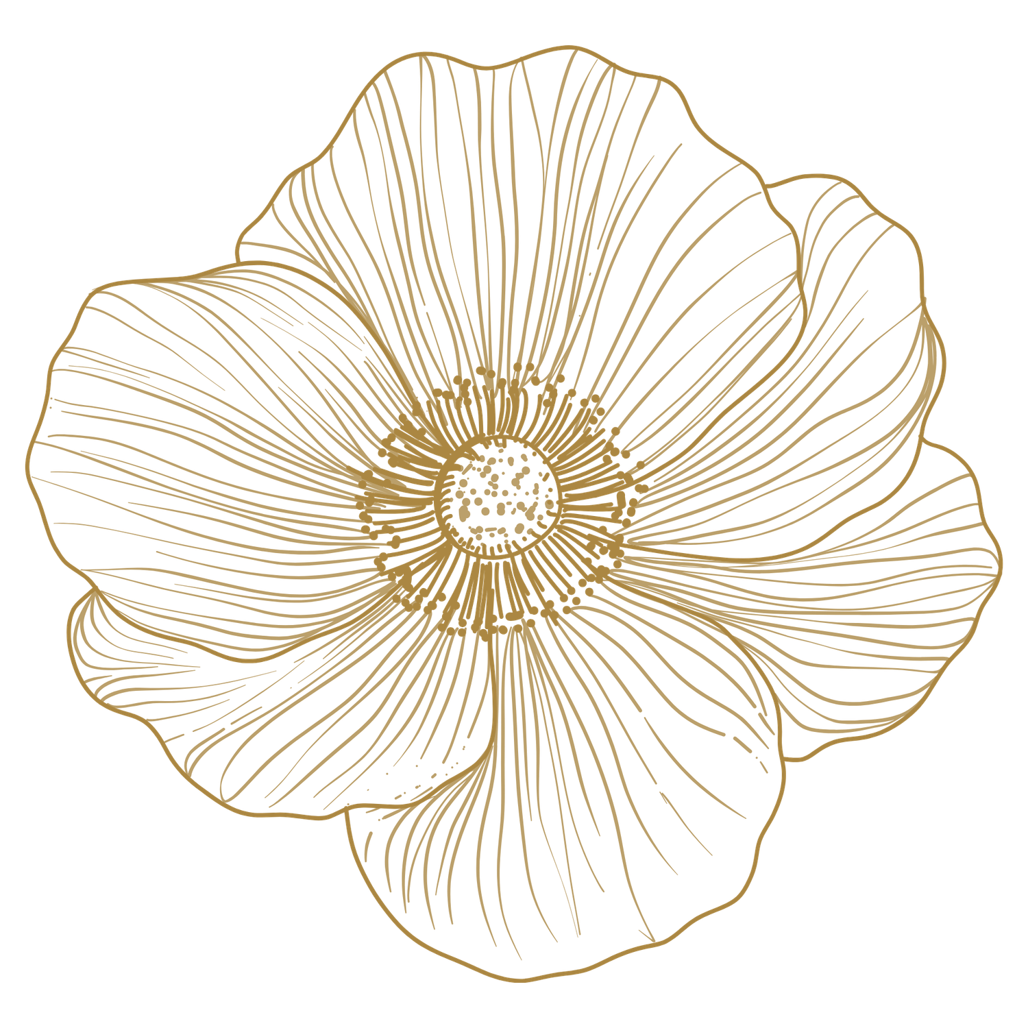 Gold line art illustration of a blooming poppy flower with detailed petals and ornate center on white background.
