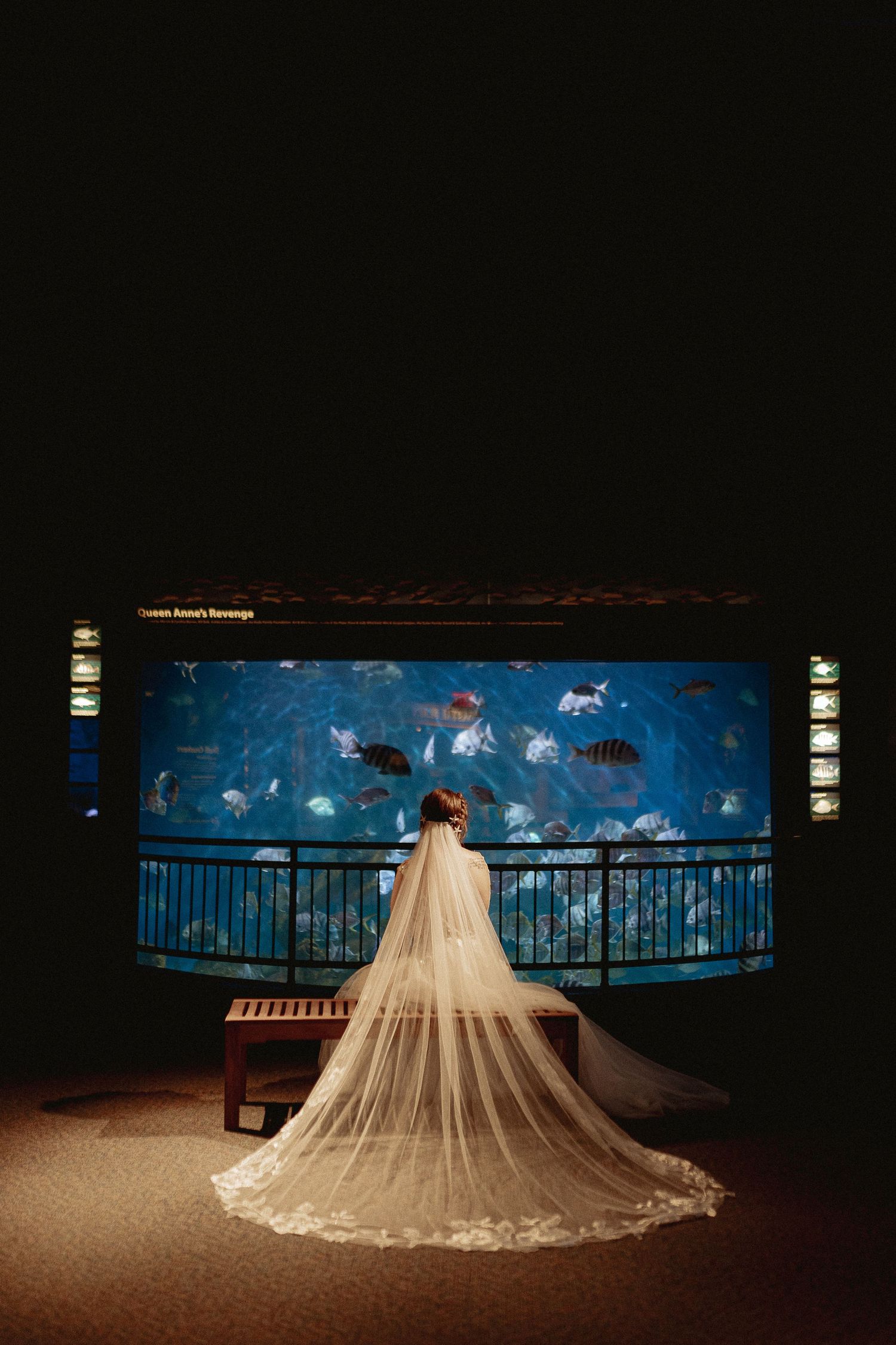 A wedding dress train spreads elegantly across a dark floor with illuminated aquarium walls.