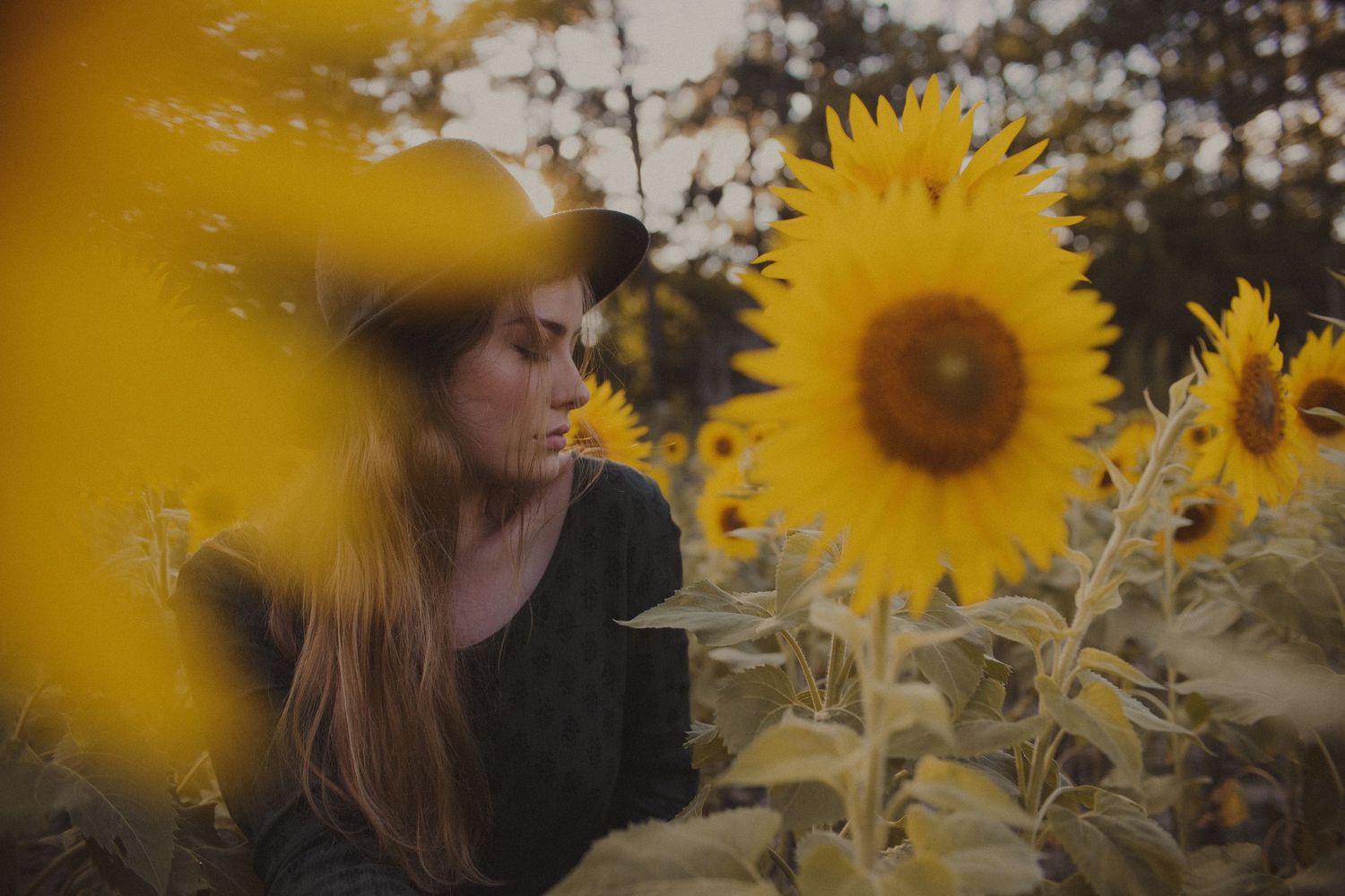 Artistic portrait in a sunflower field during golden hour.