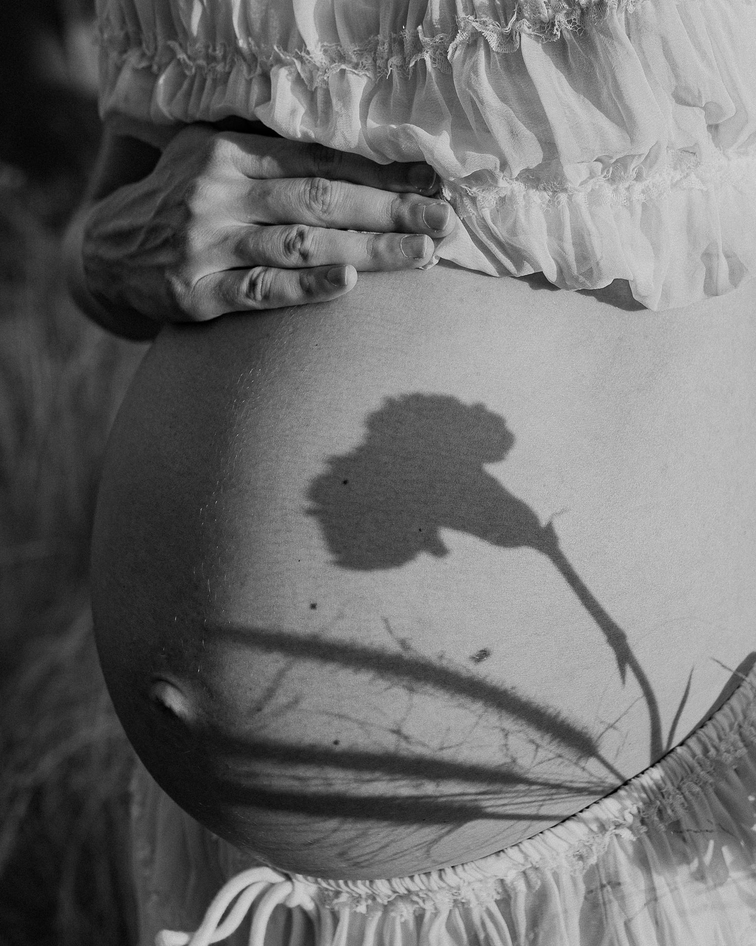Artistic black and white photo of a pregnant belly with flower shadow cast across it.