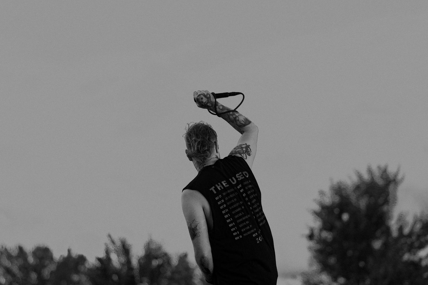 Outdoor concert silhouettes of performers against a cloudy sky.