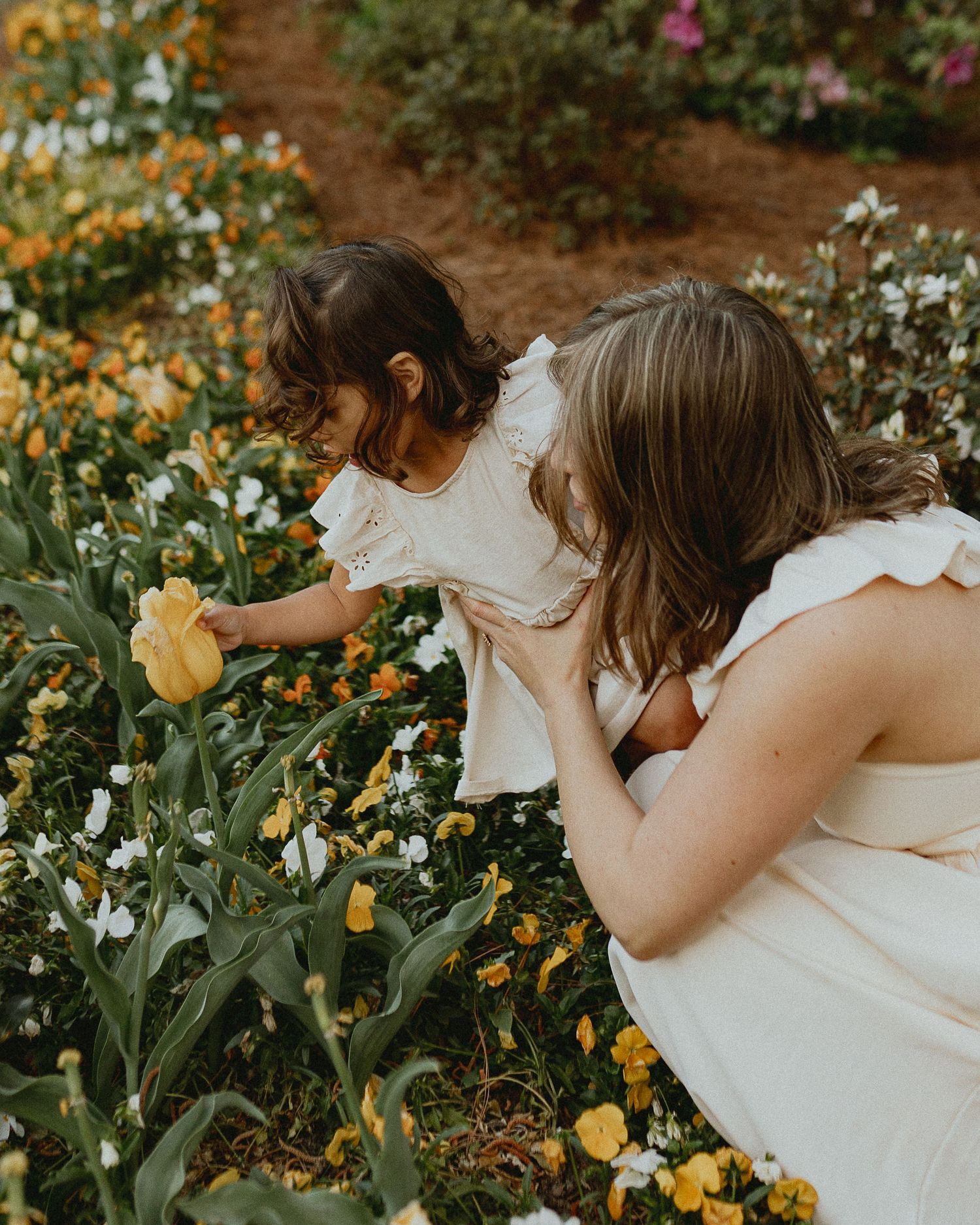 Two people admiring yellow flowers in a blooming garden during golden hour.