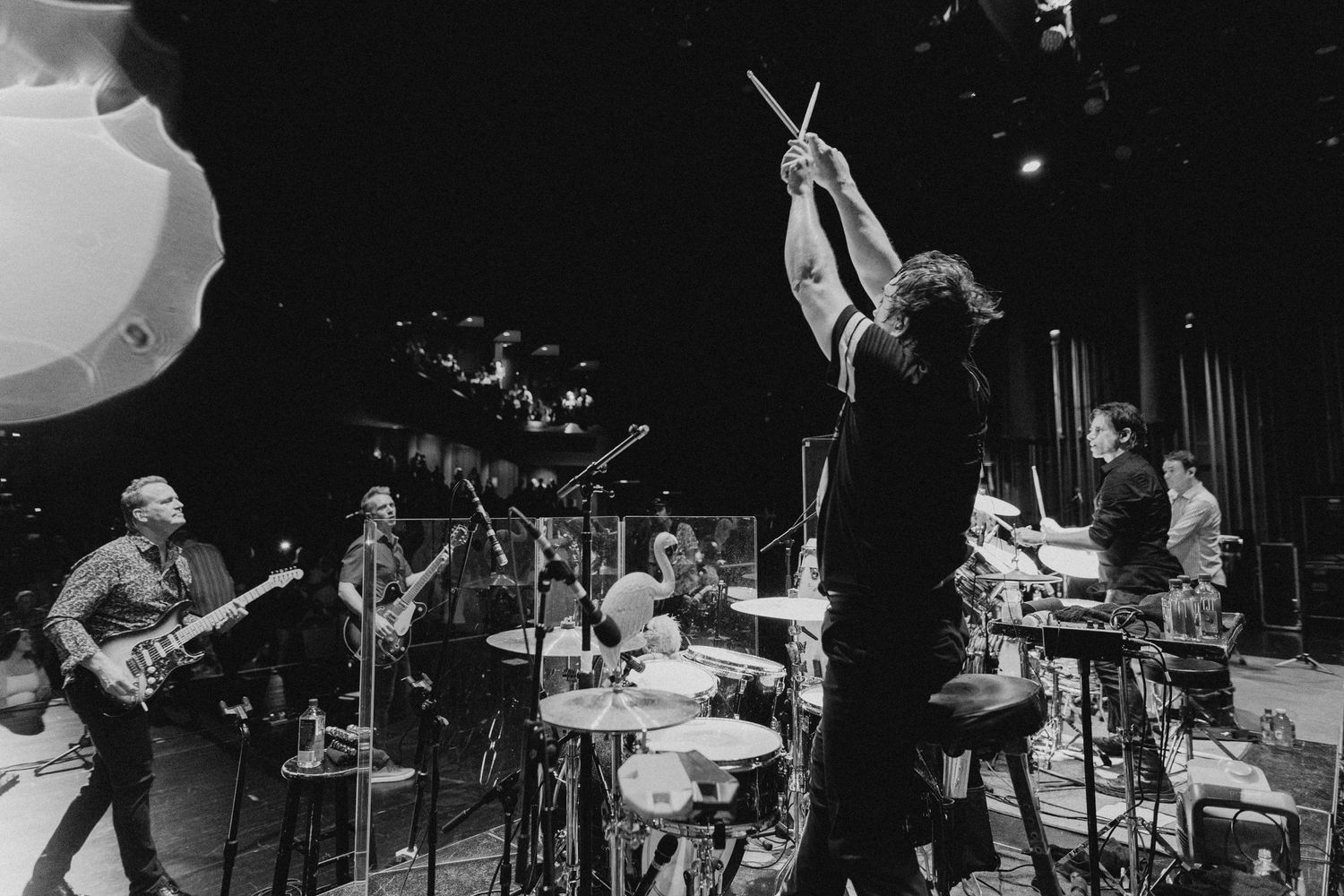 Black and white concert photos showing musicians performing on stage with instruments and lighting effects.