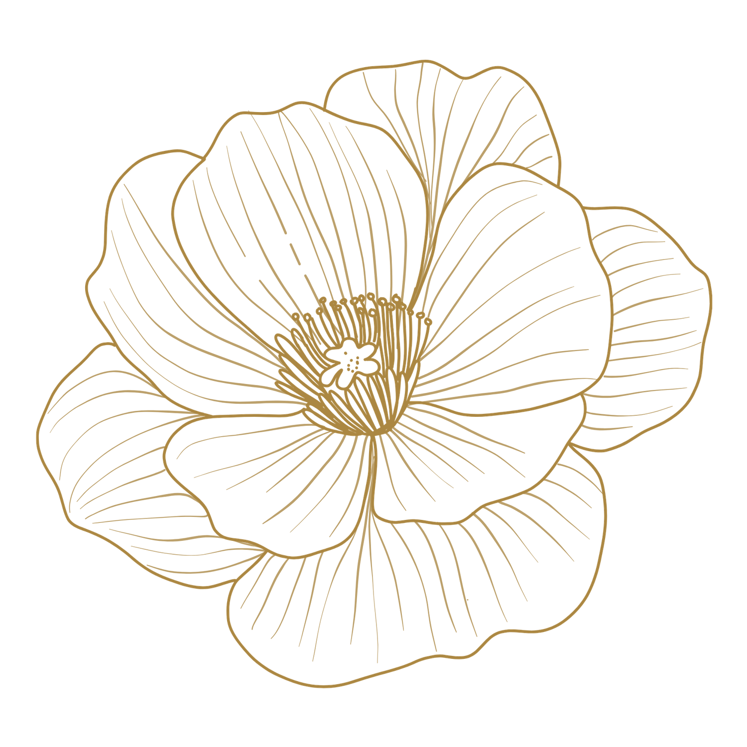 Gold line art illustration of a blooming flower with detailed petals and stamens on a white background.
