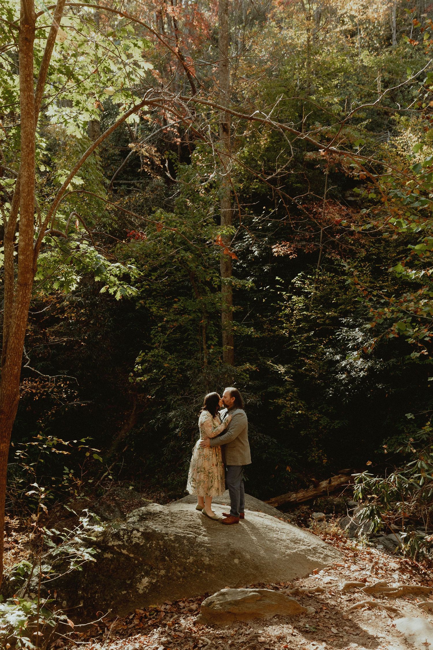 Forest wedding ceremony path with tall trees and natural lighting.