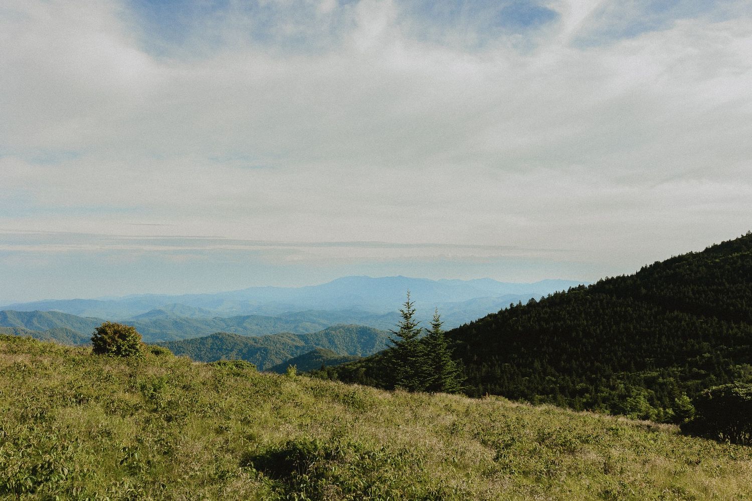 Panoramic mountain landscape with rolling green hills, dense forest, and a vast blue sky with clouds.