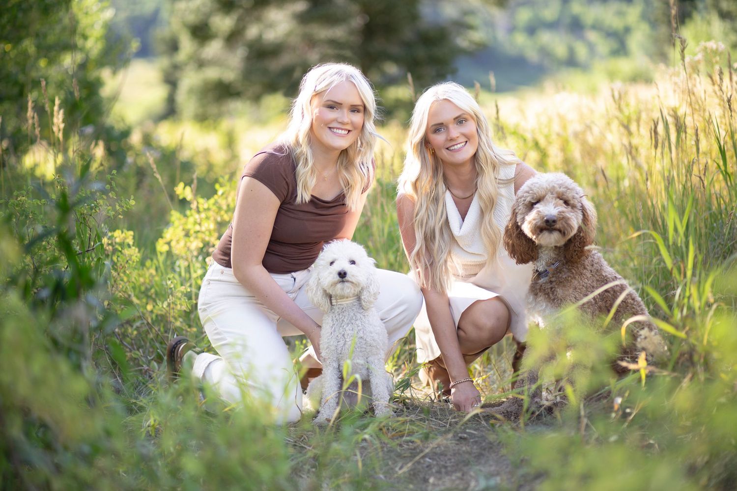 A summer photoshoot with people and their dogs in a mountain meadow setting.