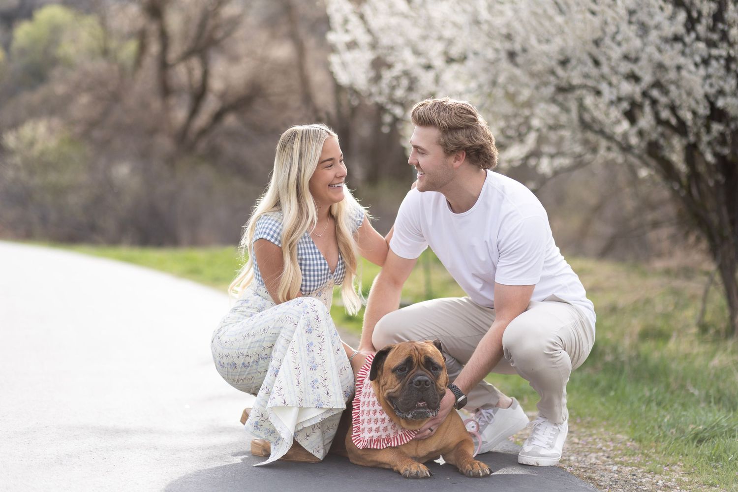 Smiling couple crouching on a road with their Boxer dog, surrounded by blooming spring trees.