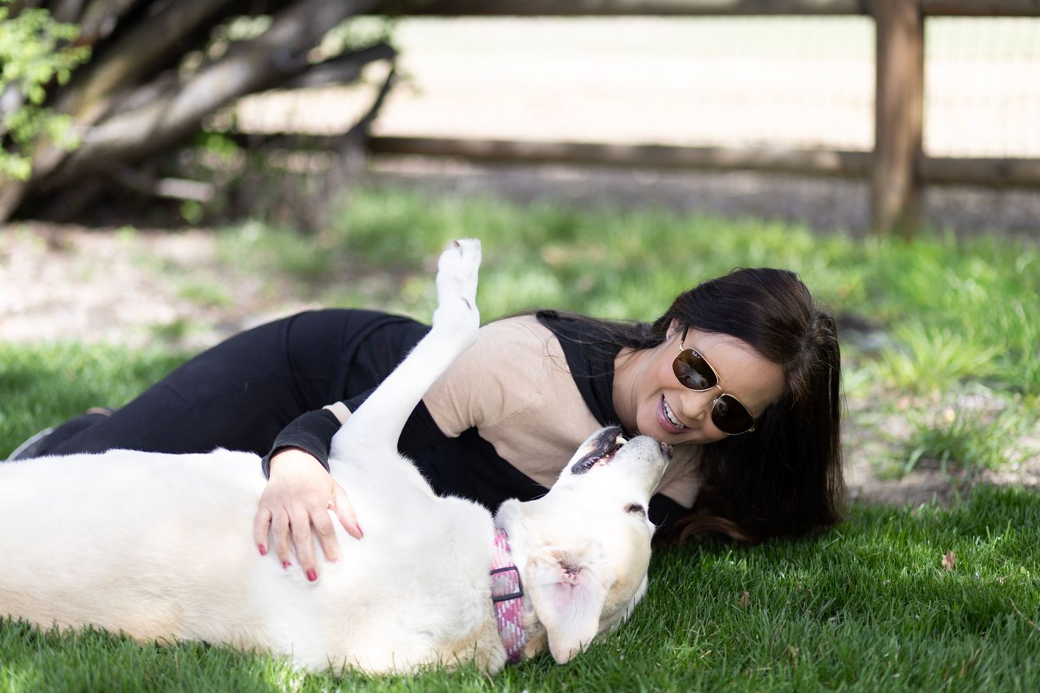 Woman in sunglasses playing with a white Labrador dog on green grass in a sunny park.