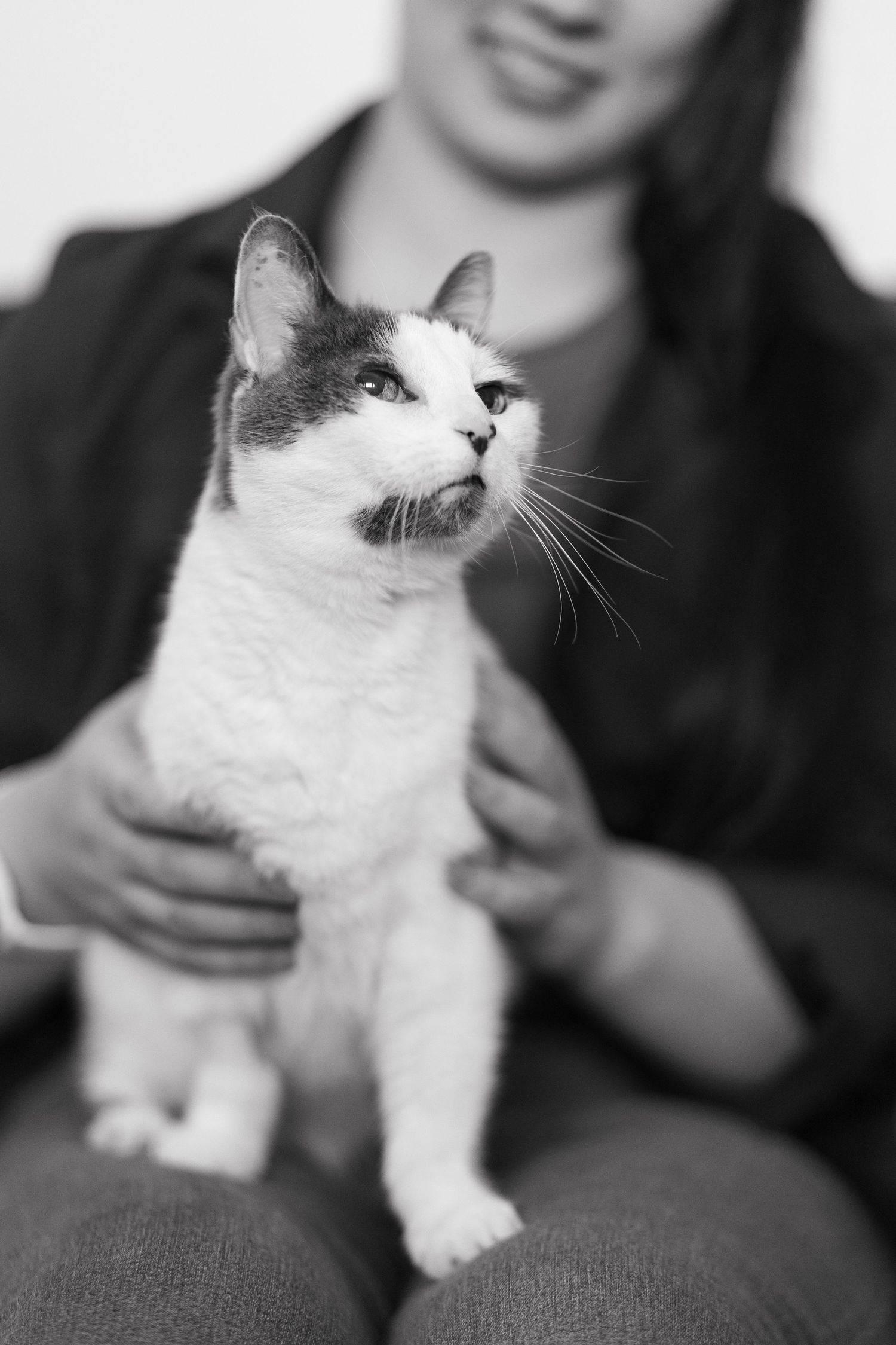 Black and white photo of gray and white cat held by smiling woman.