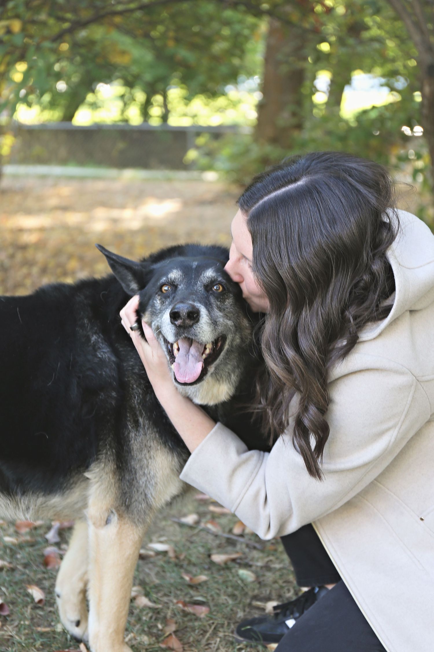 A senior German Shepherd mix dog enjoys affectionate moments in a leafy autumn setting.