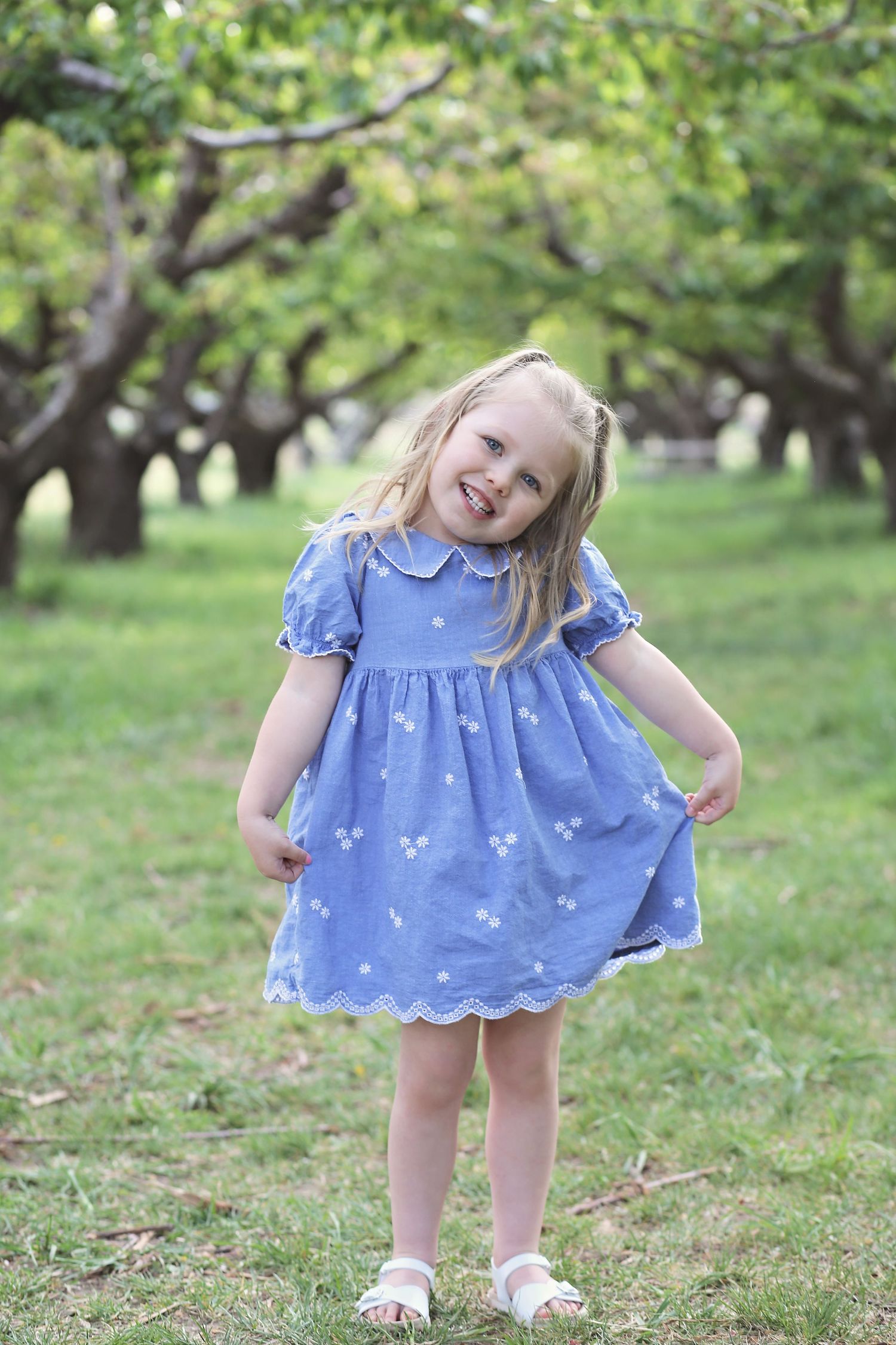 Joyful child in blue butterfly dress twirling in spring orchard setting.